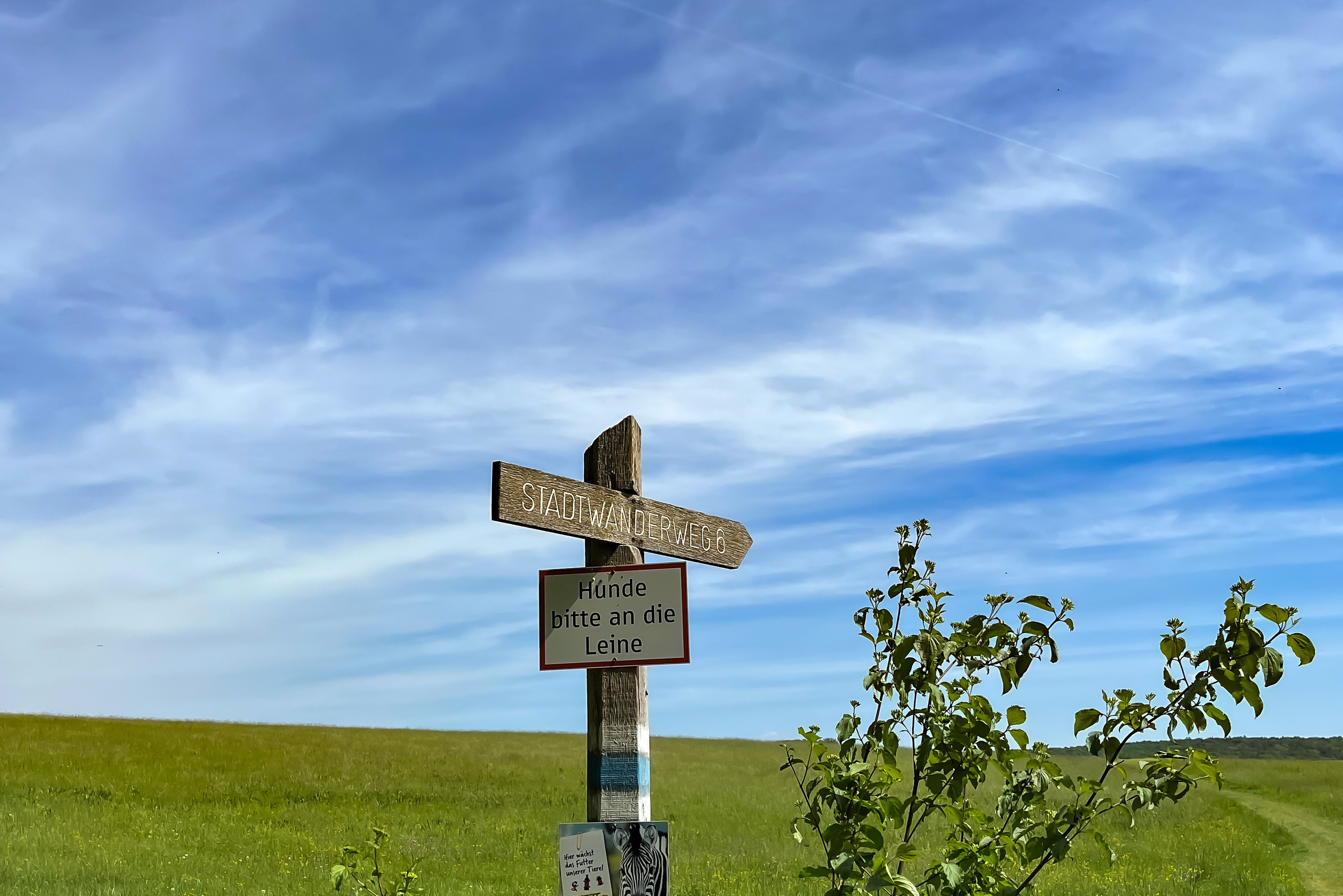 Hiking in Vienna | Wanderpass