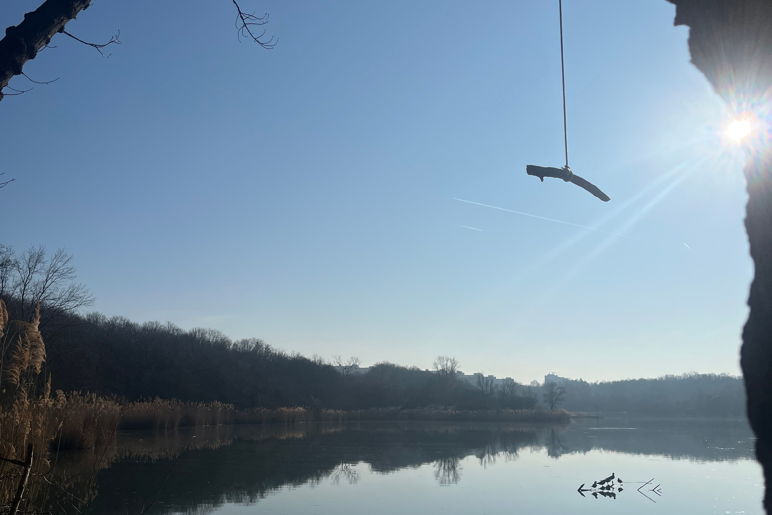 Hiking in Vienna | Wanderpass