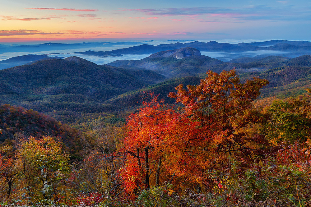 Smokey Mountains Черновик программы. Pet, Senior, Landscape, portrait studio, photographer in Miami and Sou
