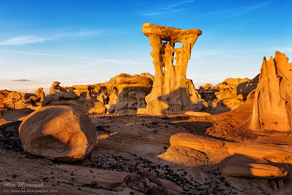 Red Rock Country Jorney. Pet, Senior, Landscape, portrait studio, photographer in Miami and Sou