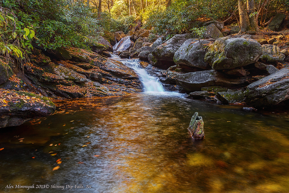 Fall at Great Smoky Mountains. Pet, Senior, Landscape, portrait studio, photographer in Miami and Sou