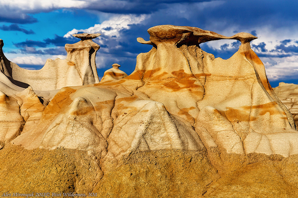 Recommended Equipment. Pet, Senior, Landscape, portrait studio, photographer in Miami and Sou