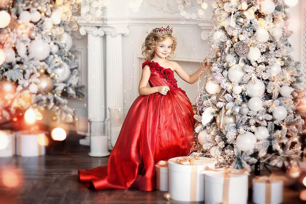 Виды Новогодних фотосессий. Новогодняя фотосессия (Днепр)