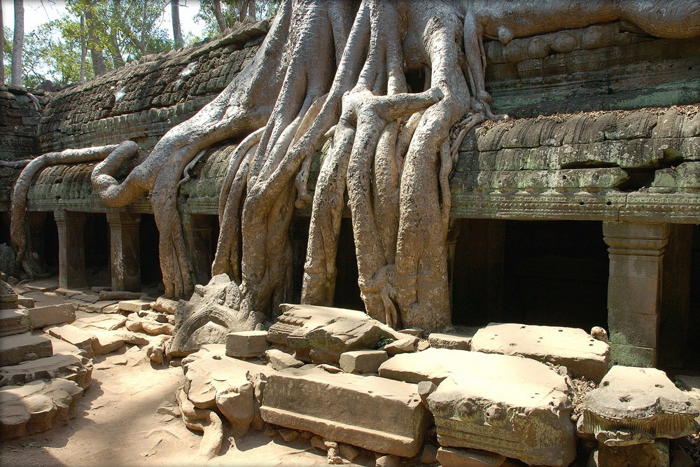 Мои истории. Фотограф и преподаватель фотографии в Белграде