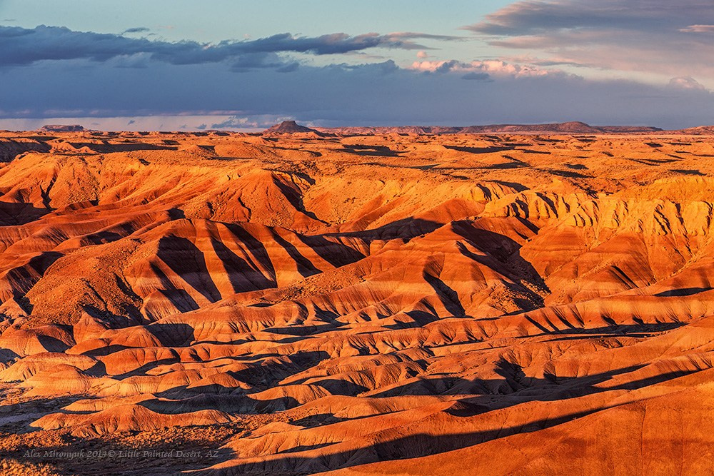 Eagle’s View — Arizona. Pet, Senior, Landscape, portrait studio, photographer in Miami and Sou