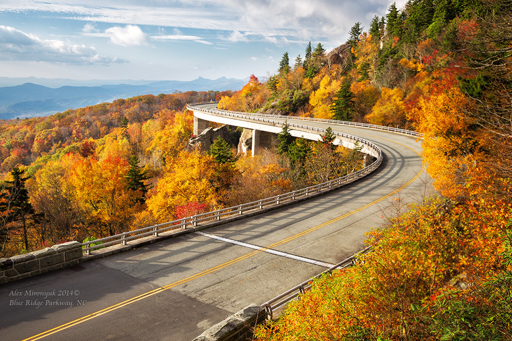 Smokey Mountains Черновик программы. Pet, Senior, Landscape, portrait studio, photographer in Miami and Sou