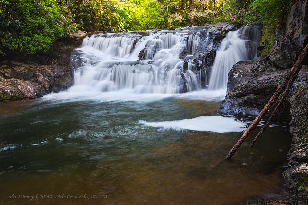Smokey Mountains Черновик программы. Pet, Senior, Landscape, portrait studio, photographer in Miami and Sou