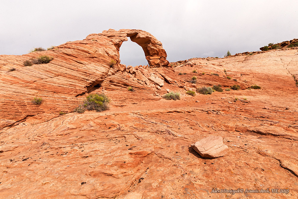 Приключения в Каньонах Эскаланте (продолжение). Alex Mironyuk Photography
