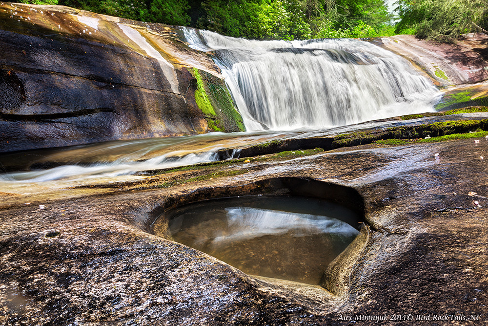 Fall at Great Smoky Mountains. Pet, Senior, Landscape, portrait studio, photographer in Miami and Sou