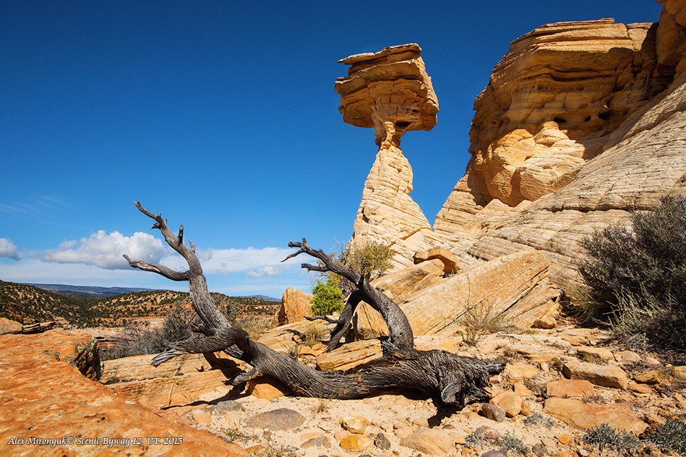 Приключения в Каньонах Эскаланте (продолжение). Alex Mironyuk Photography