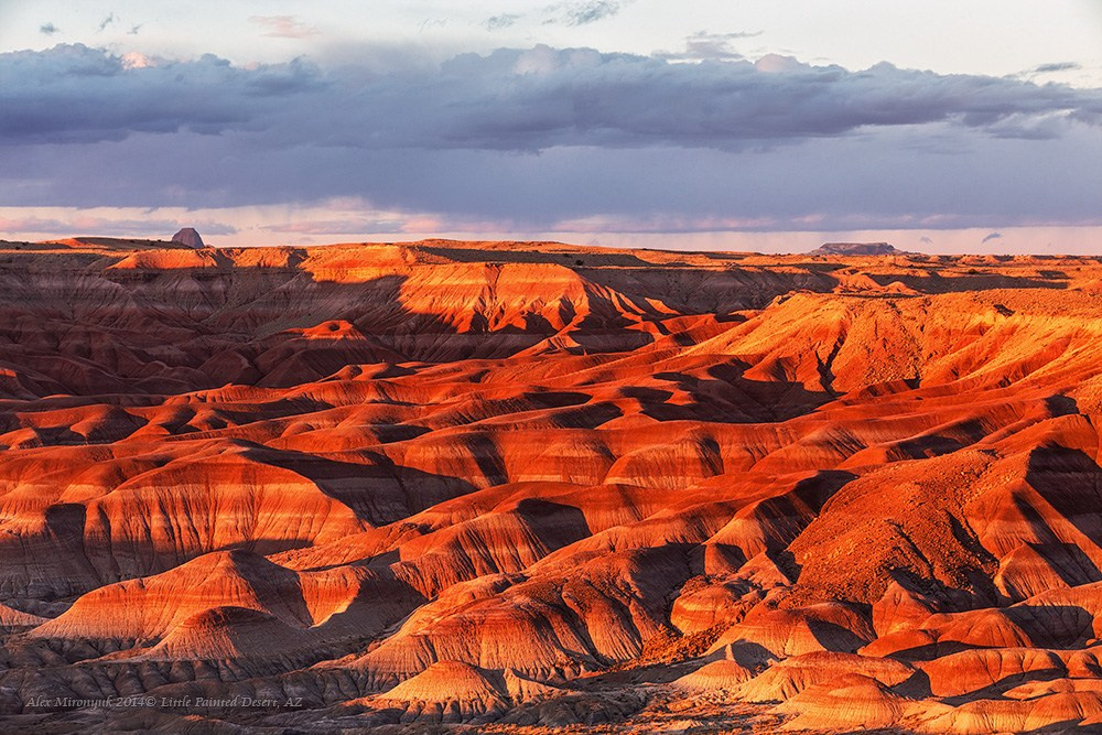 Eagle’s View — Arizona. Pet, Senior, Landscape, portrait studio, photographer in Miami and Sou