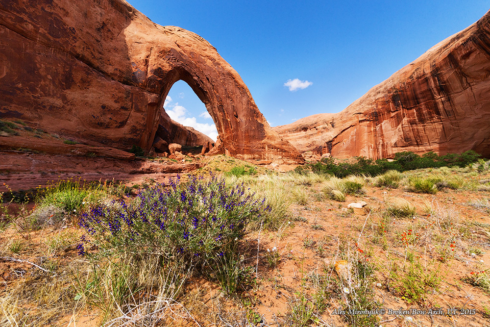 Canyons of Escalante Adventure (original). Alex Mironyuk Photography