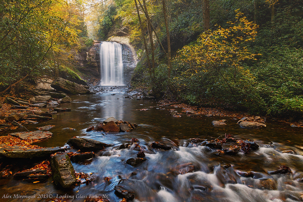 Fall at Great Smoky Mountains. Pet, Senior, Landscape, portrait studio, photographer in Miami and Sou