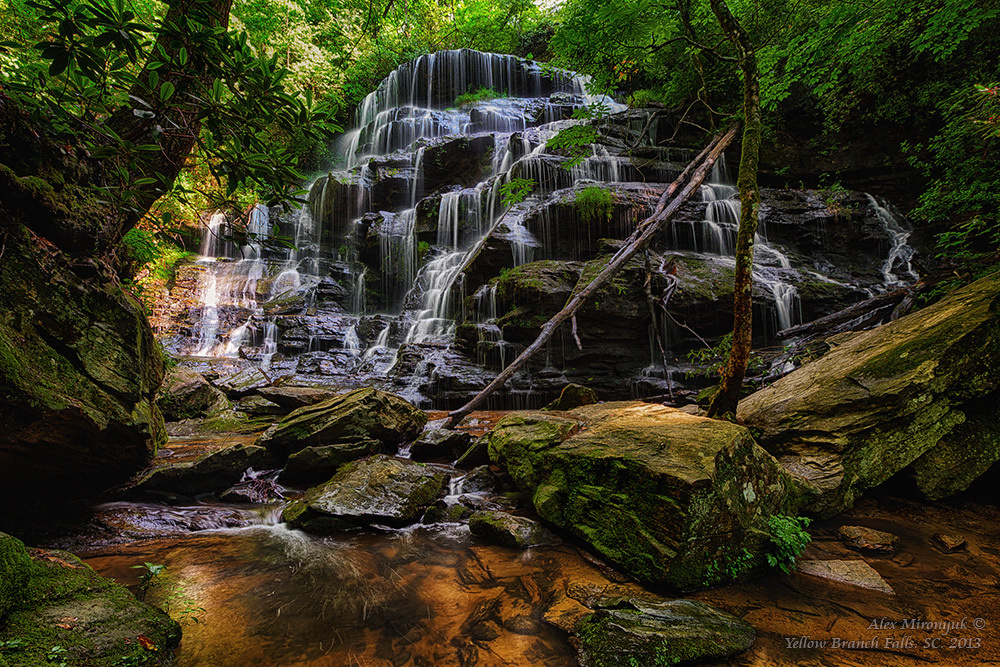 Smokey Mountains Черновик программы. Pet, Senior, Landscape, portrait studio, photographer in Miami and Sou