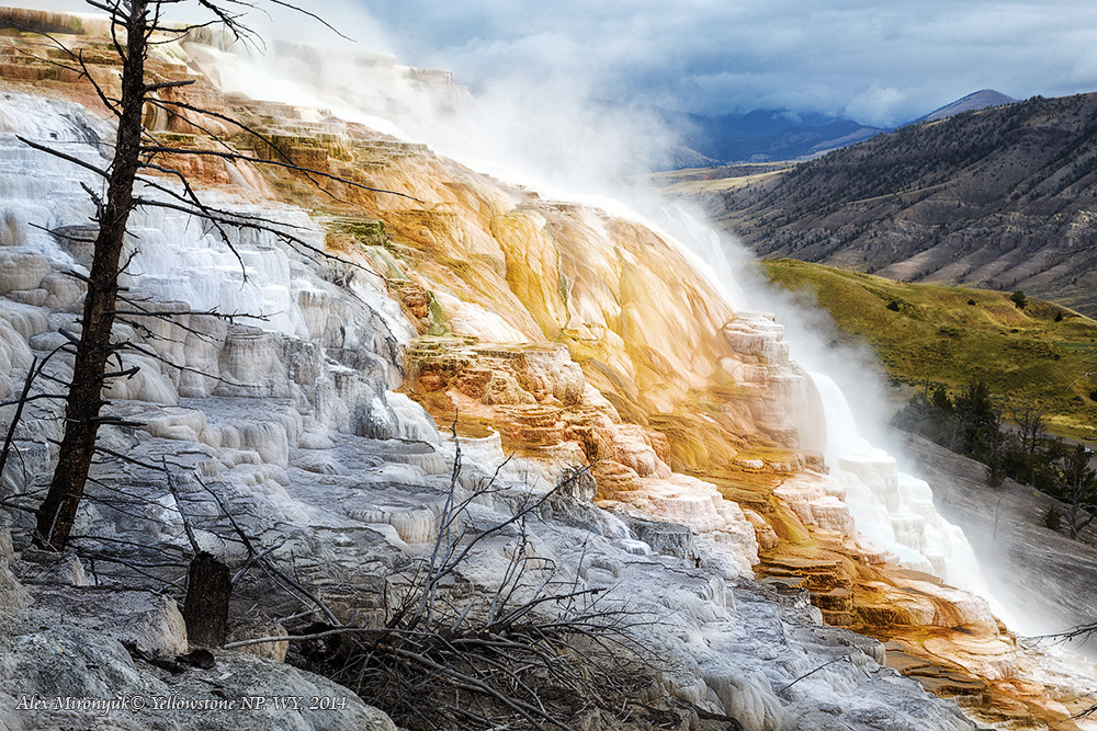 Photo - Workshop “Unforgettable North-West”. Pet, Senior, Landscape, portrait studio, photographer in Miami and Sou