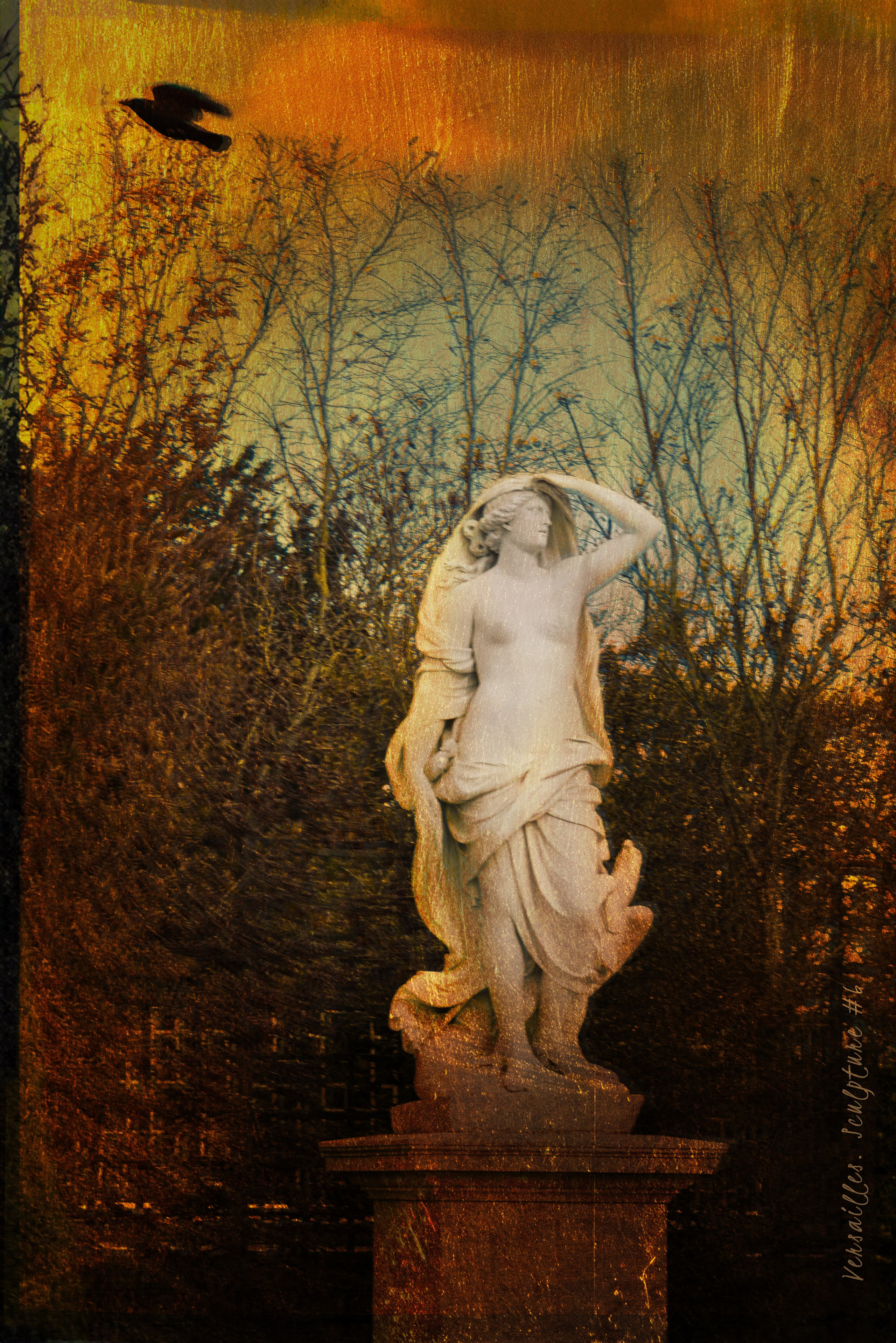 The gold of Versailles. Director, Photographer and Artist in Valencia Natasha Bogomolova