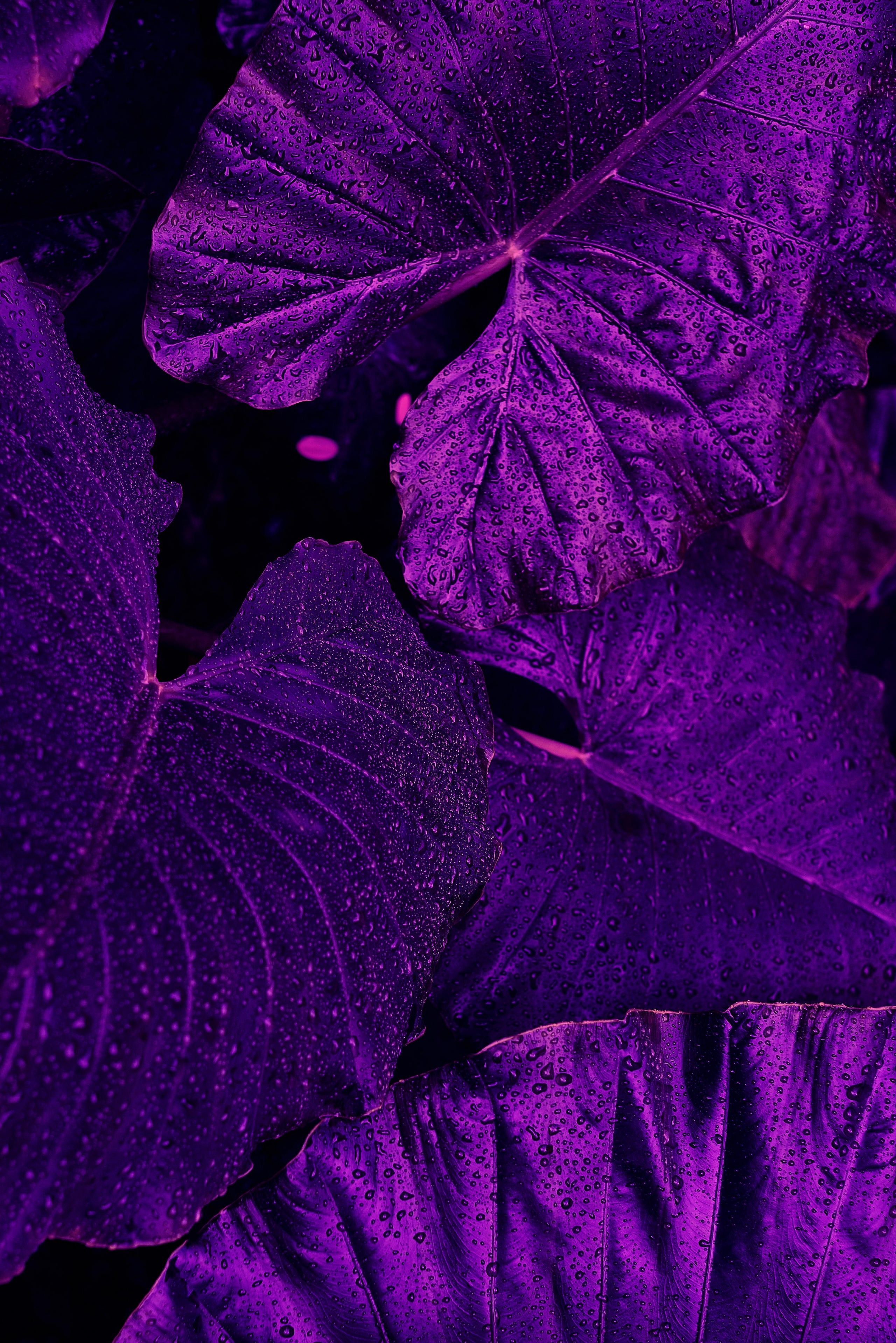 Echolith. Nature art photography by Petr Nabutov