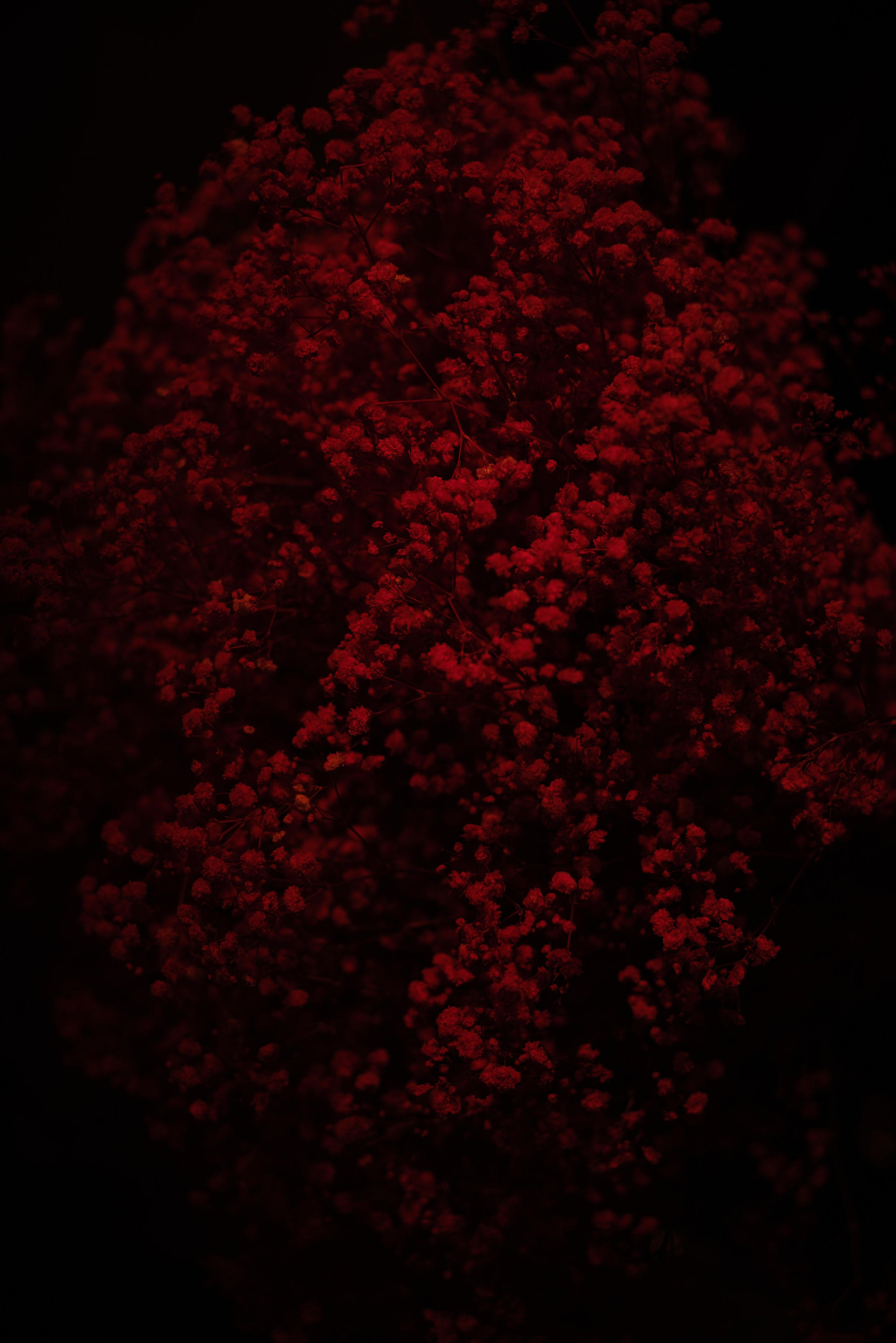 Echolith. Nature art photography by Petr Nabutov