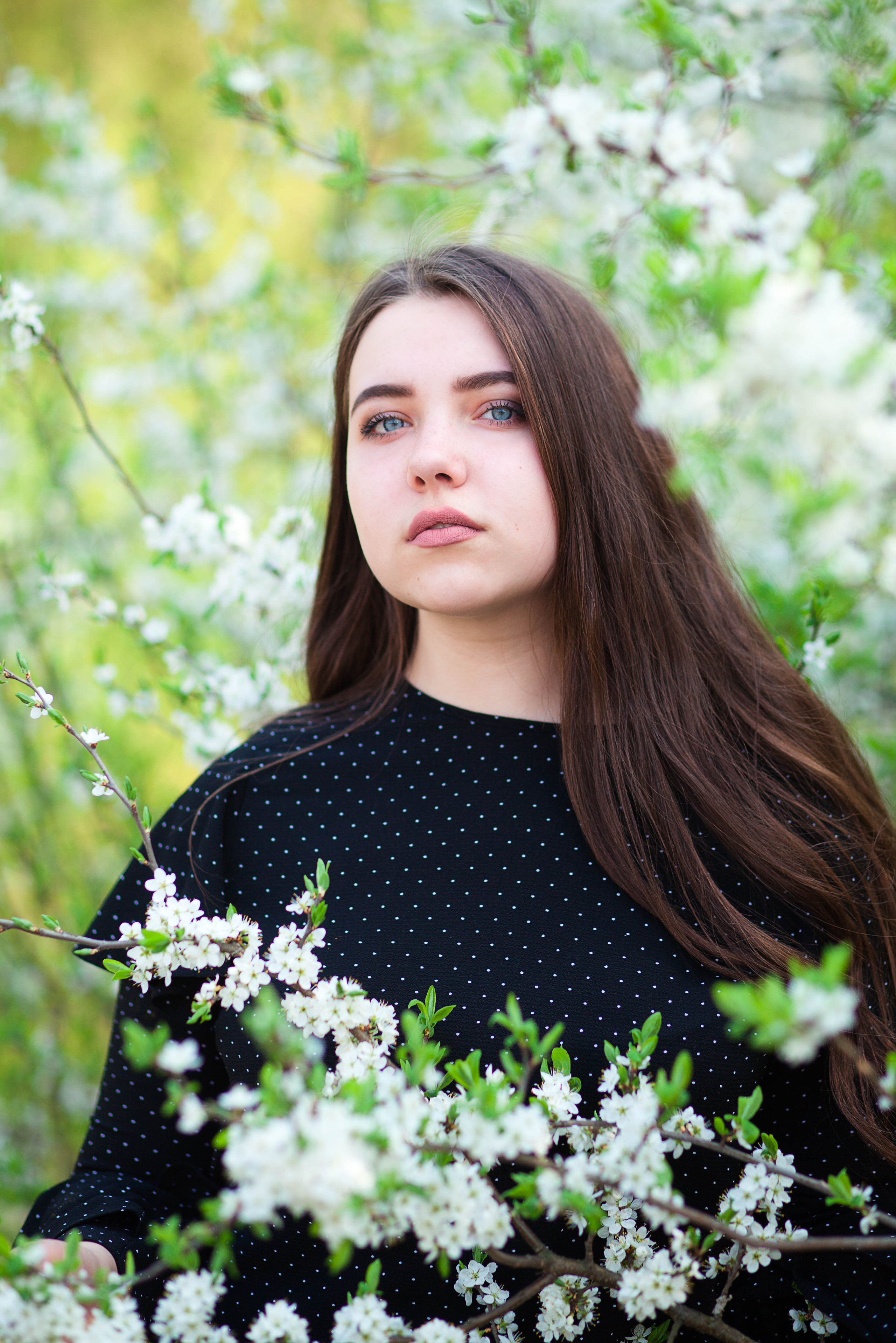 Портфоліо. Випускні альбоми для дитячих садочків, шкіл і вузів в м. Полтава