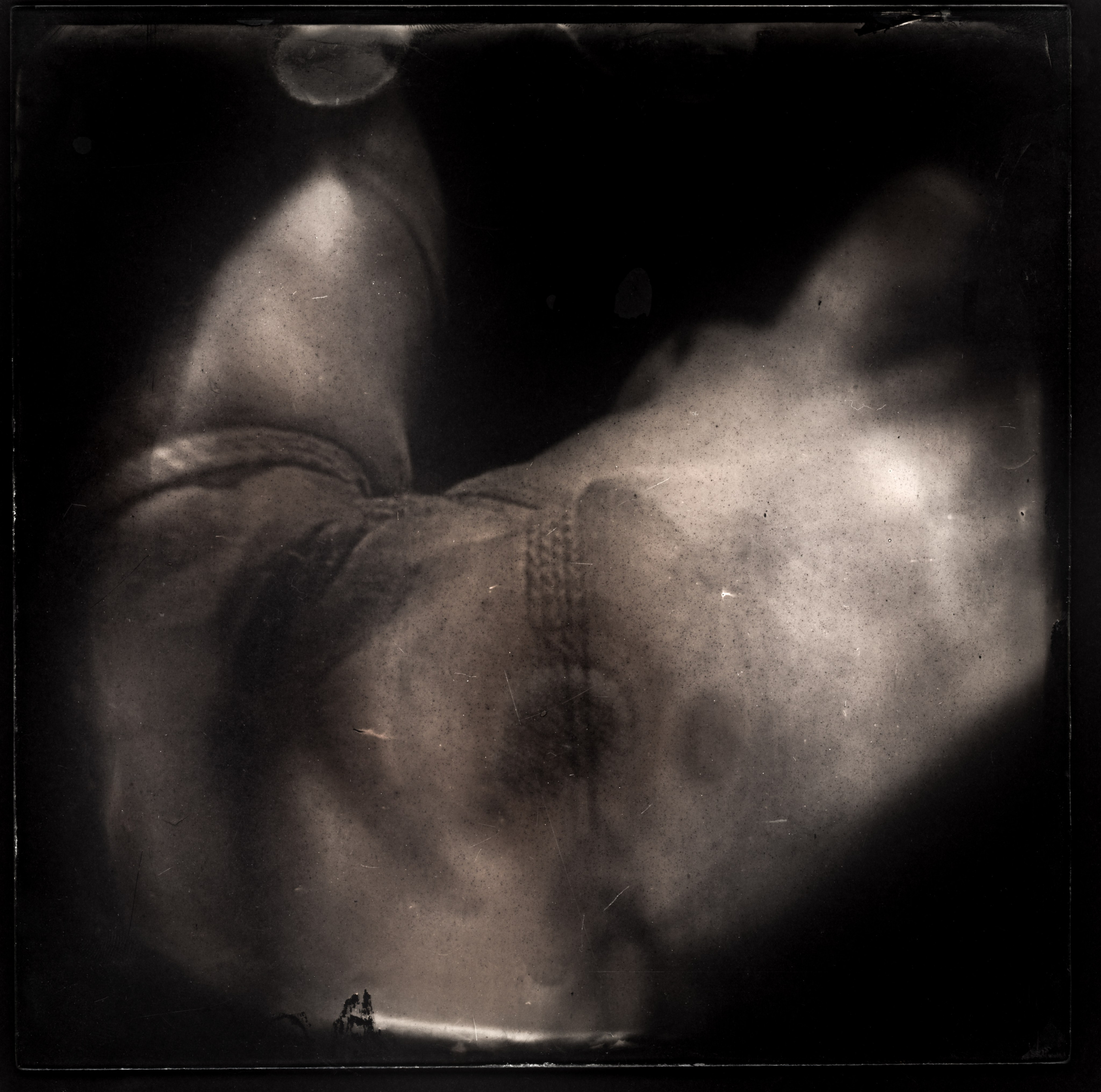 NODUS. Adriano Escanhuela — Experimental