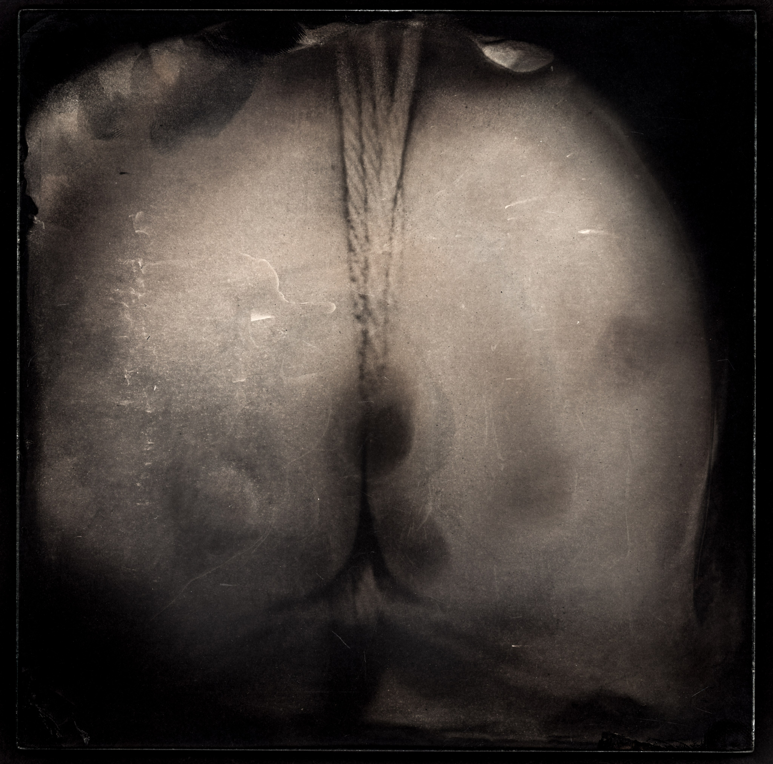 NODUS. Adriano Escanhuela — Experimental