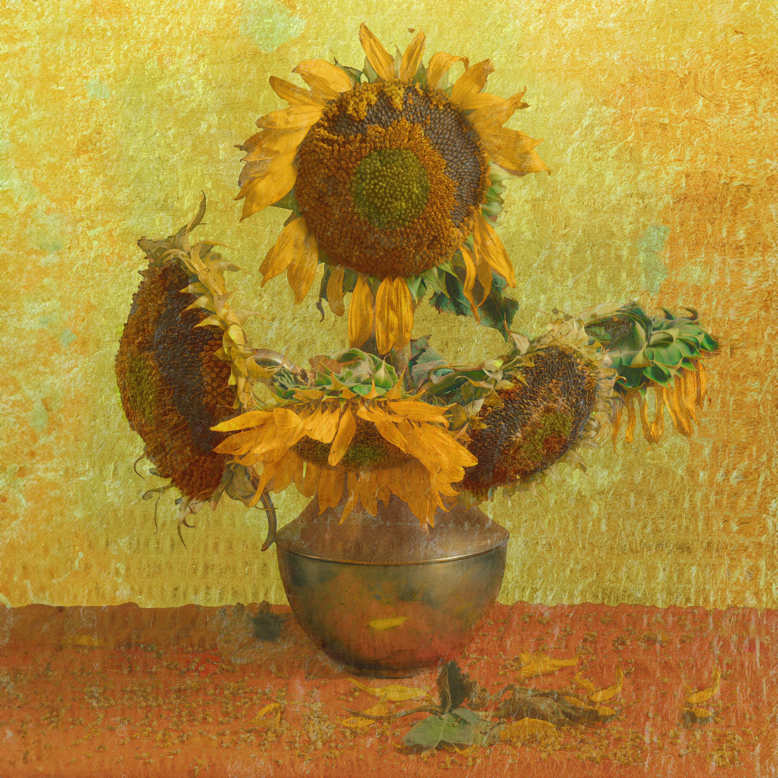 Photography Project Gallery. Director, Photographer and Artist in Valencia Natasha Bogomolova