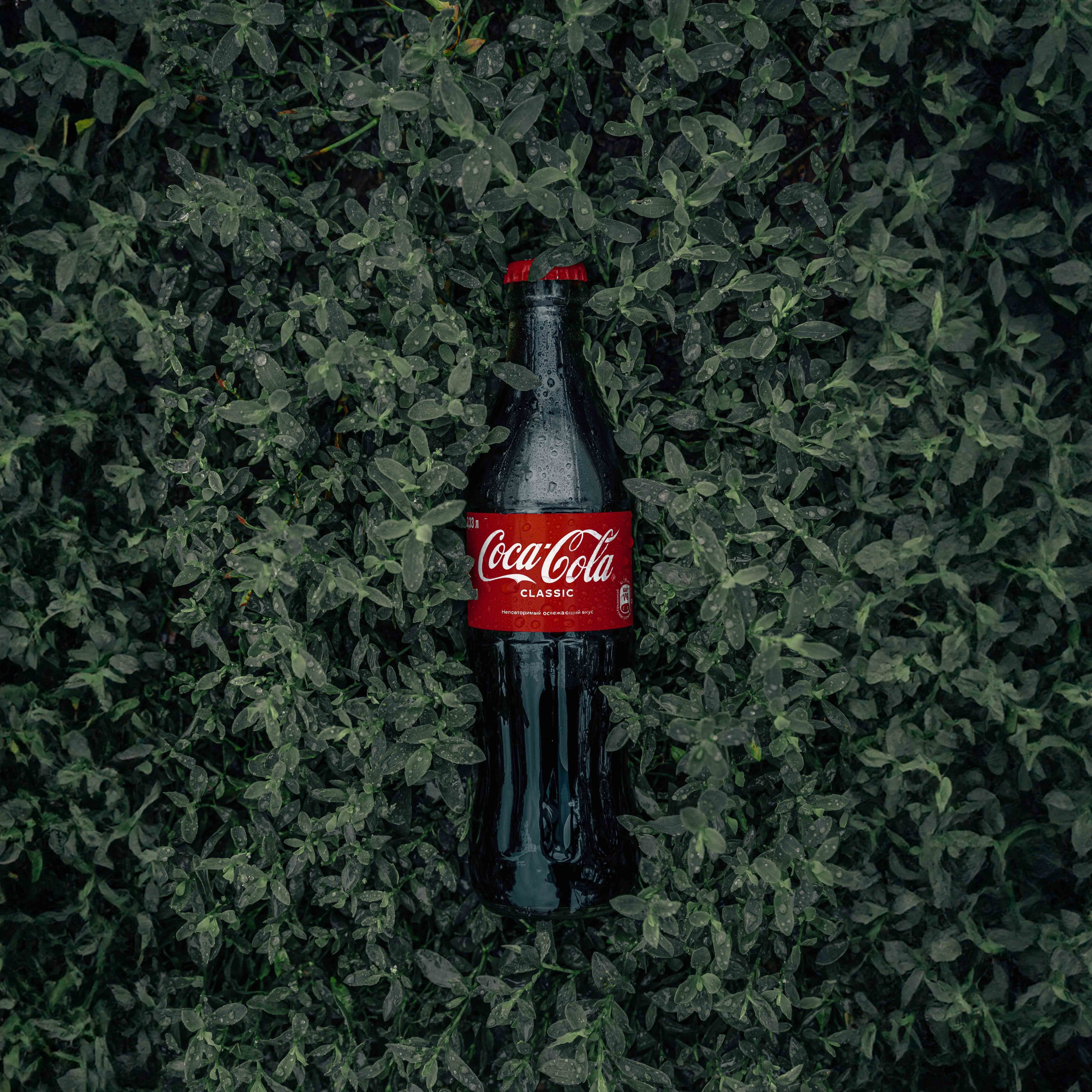 Product. Alexander Mukhin | Los Angeles Video Production: Commercials, Food & Brands. Visual Storytelling & Social Media Content Creator