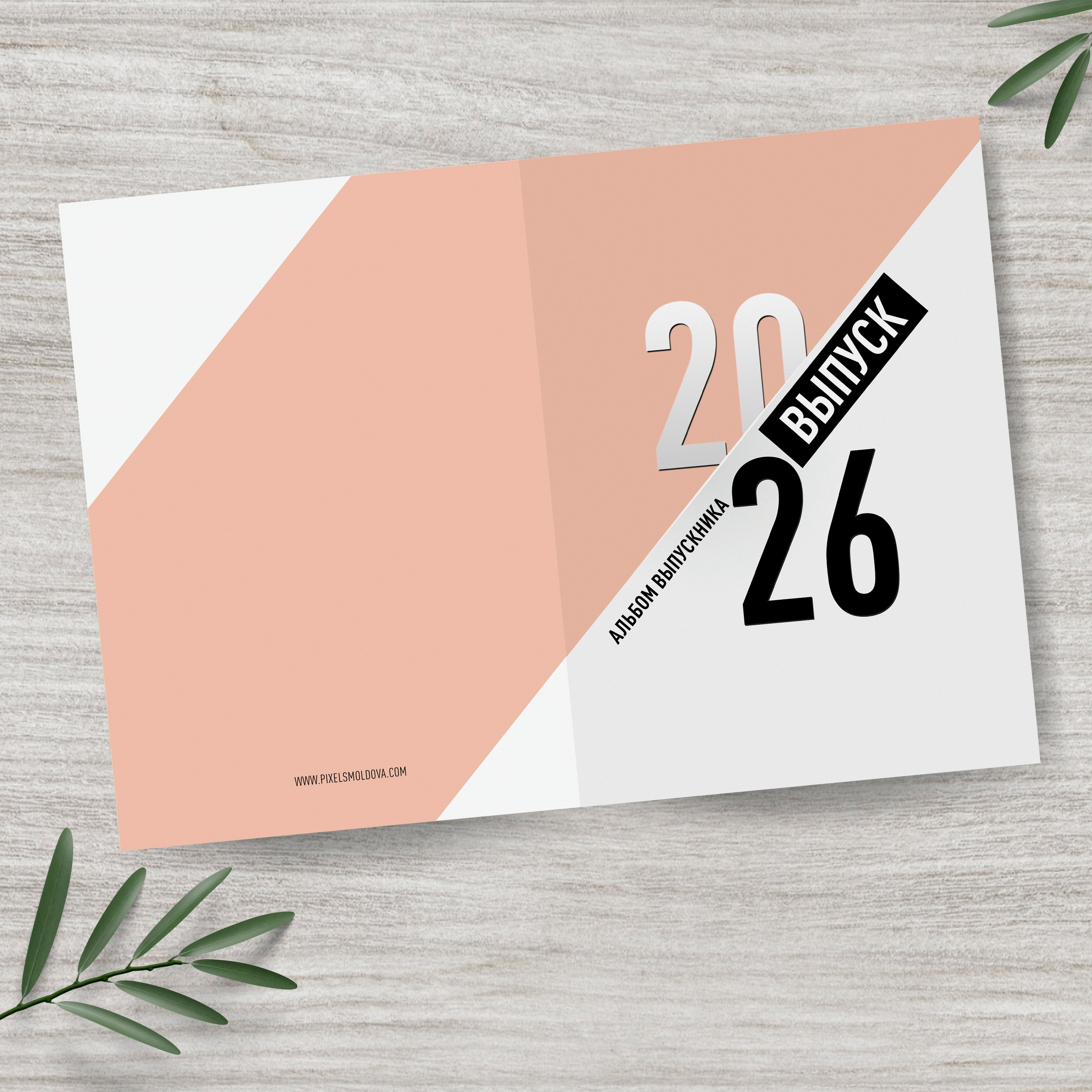 album, absolvire, liceu, gimnaziu, scoala, clase, primare, mai, veneta, moldova, republica, absolvent, fotografie, fotograf, poze, chisinau, ungheni, cahul, orhei, comrat, prima invatatoare, universitate