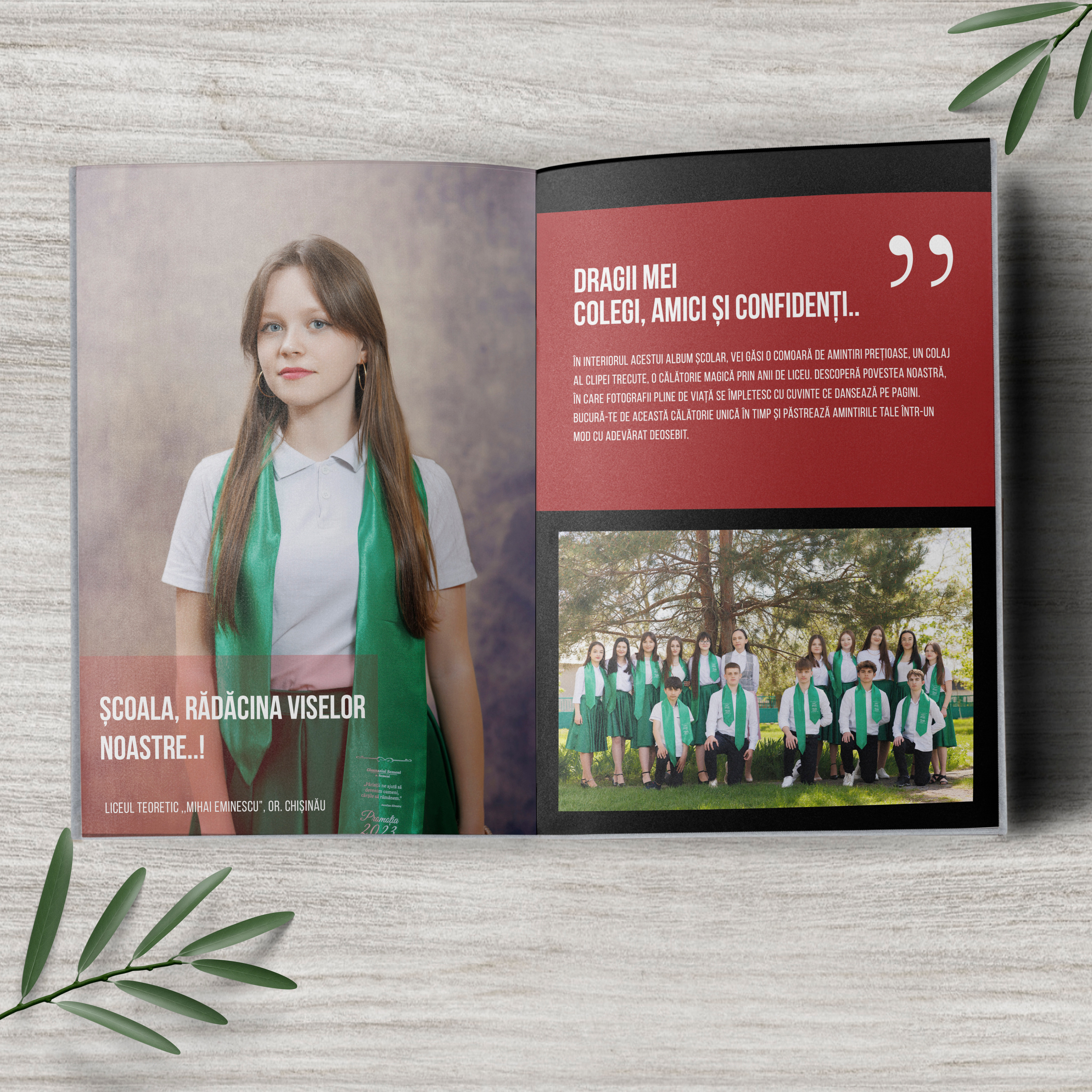 альбом, Выпускной, старшая школа, Гимназия, школа, Классы, Первичный, Май, Венета, Молдова, Республика, выпускник, фотография, фотограф, картинки, Кишинев, Унгень, Кахул, Орхей, Комрат, первый учитель, Университет