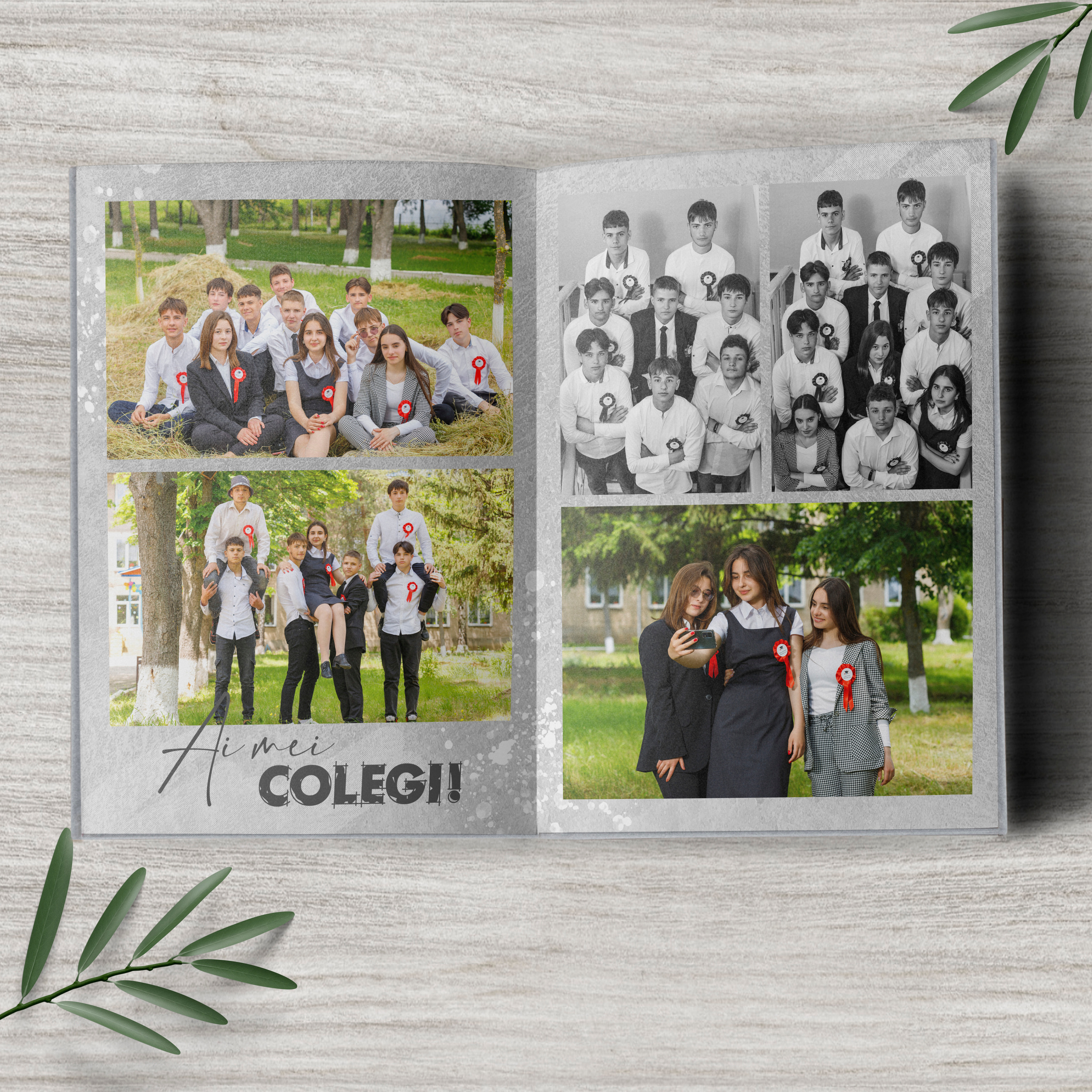 альбом, Выпускной, старшая школа, Гимназия, школа, Классы, Первичный, Май, Венета, Молдова, Республика, выпускник, фотография, фотограф, картинки, Кишинев, Унгень, Кахул, Орхей, Комрат, первый учитель, Университет