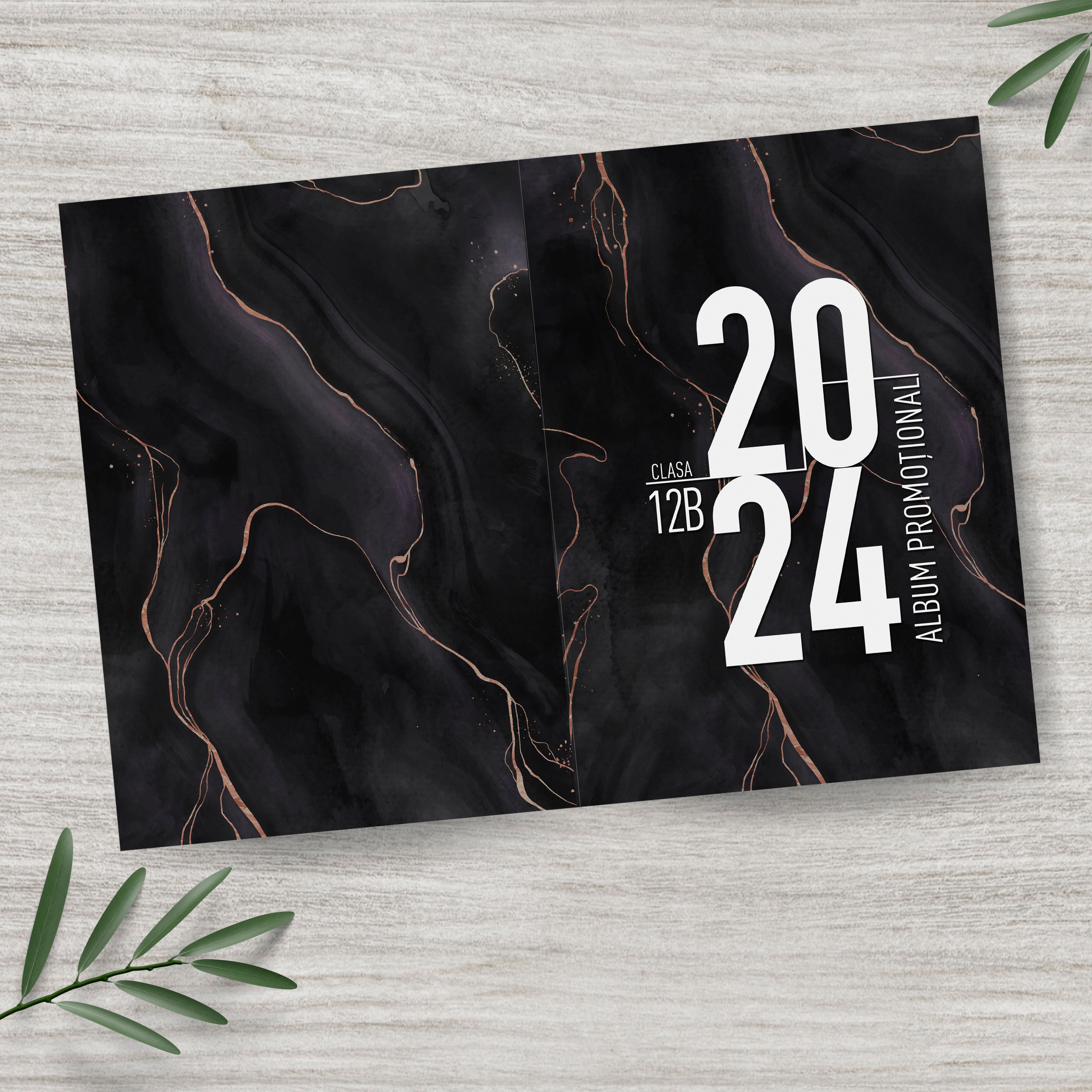 album, absolvire, liceu, gimnaziu, scoala, clase, primare, mai, veneta, moldova, republica, absolvent, fotografie, fotograf, poze, chisinau, ungheni, cahul, orhei, comrat, prima invatatoare, universitate