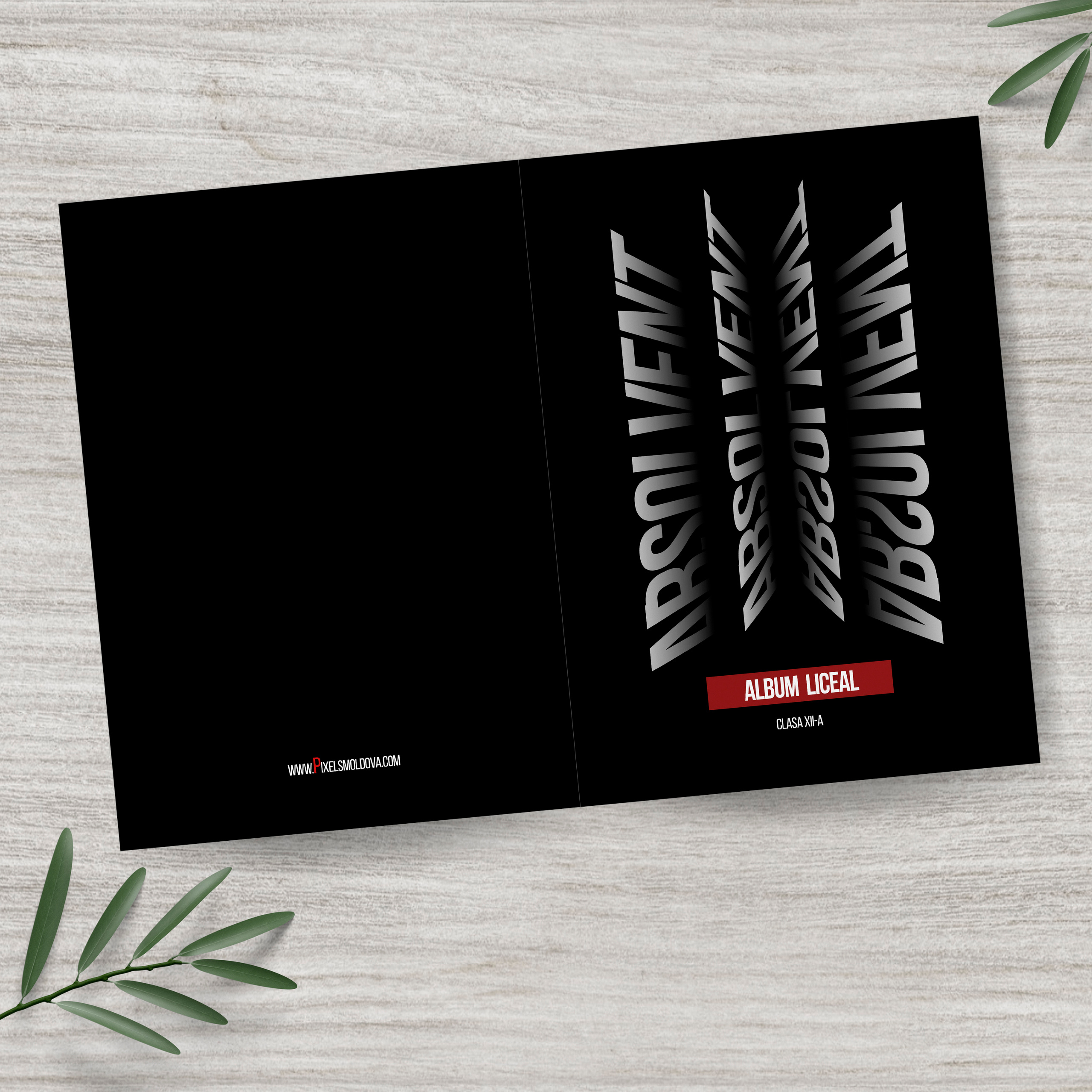 альбом, Выпускной, старшая школа, Гимназия, школа, Классы, Первичный, Май, Венета, Молдова, Республика, выпускник, фотография, фотограф, картинки, Кишинев, Унгень, Кахул, Орхей, Комрат, первый учитель, Университет