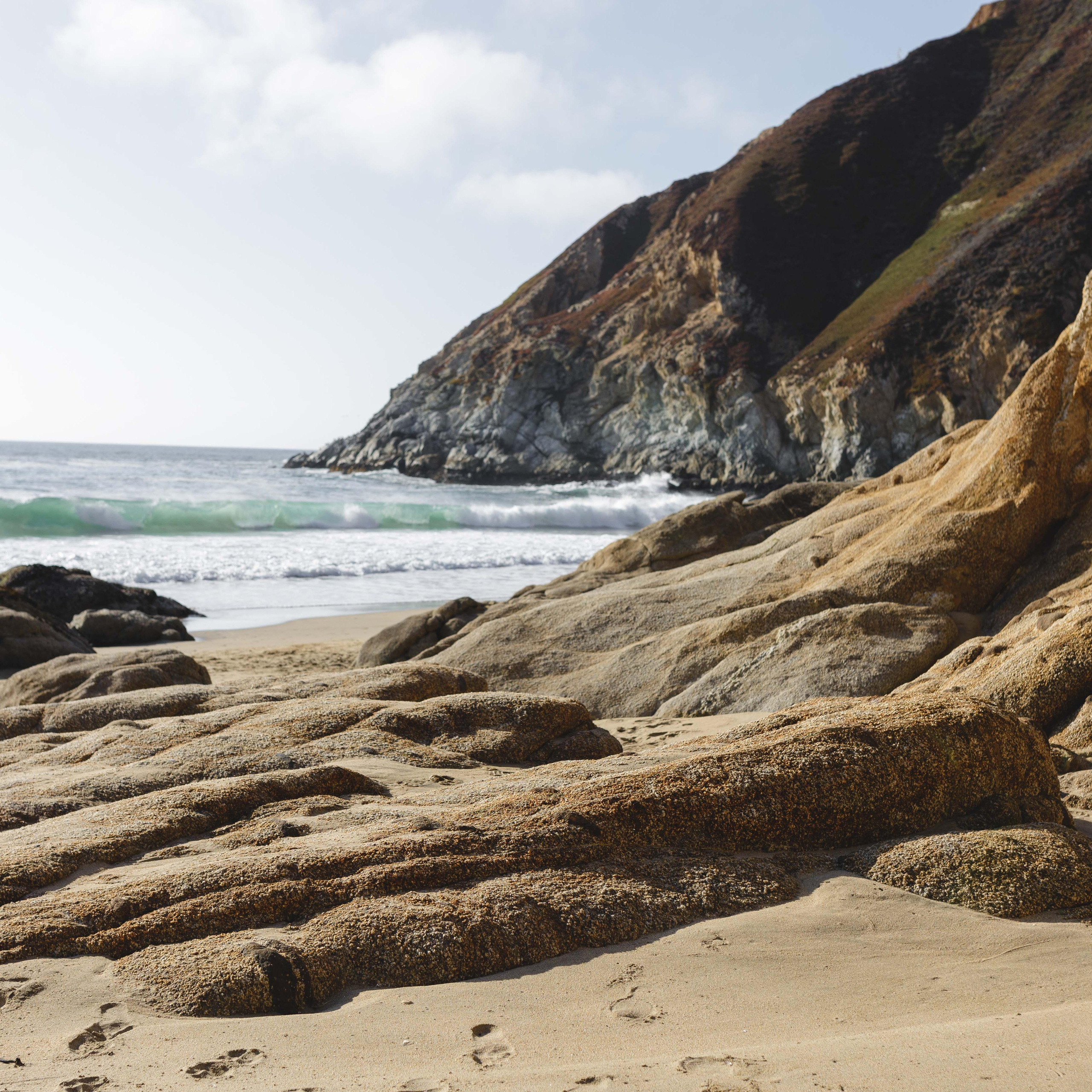 Bay Area Extended Family Photography | Expert Tips & Ideas. Maternity, newborn photographer in the Bay Area|Iryna Rakivnenko