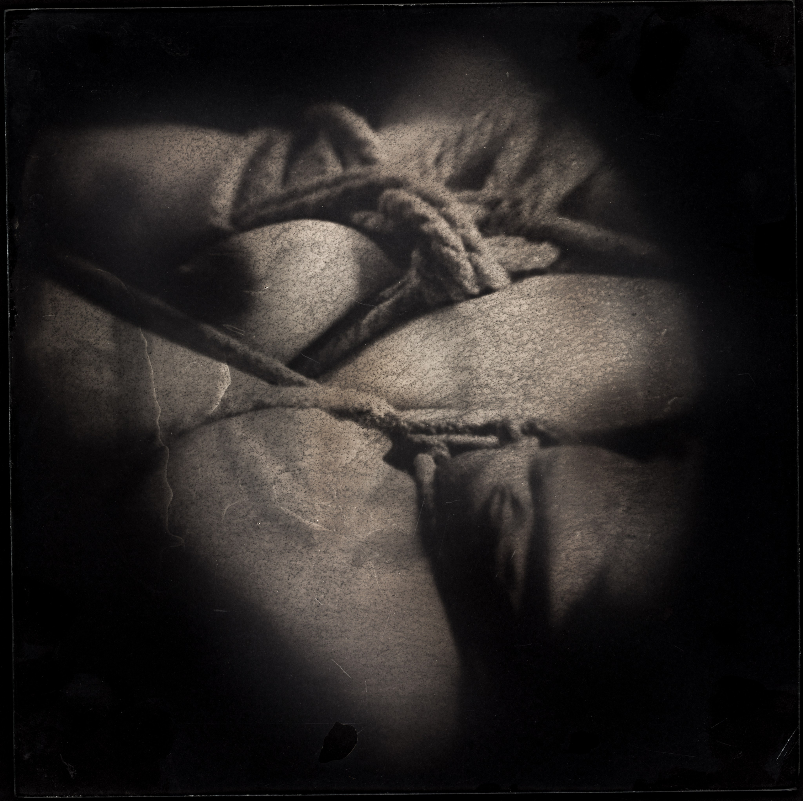 NODUS. Adriano Escanhuela — Experimental