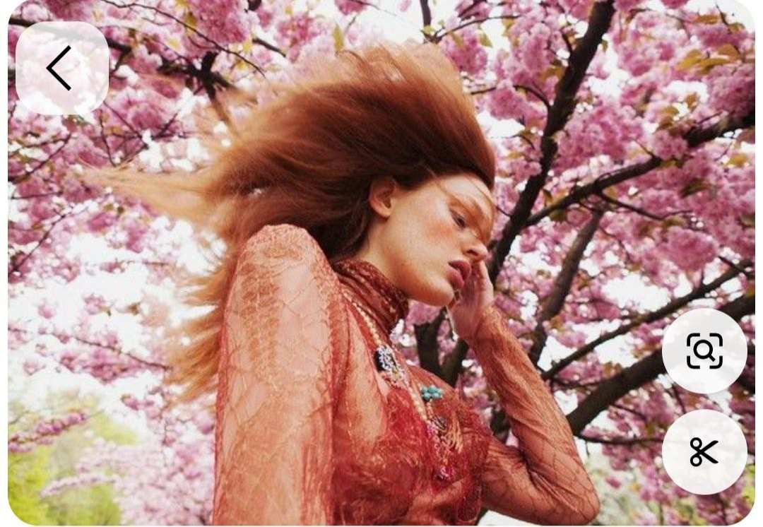 Съёмка в цветении. Парк де Со