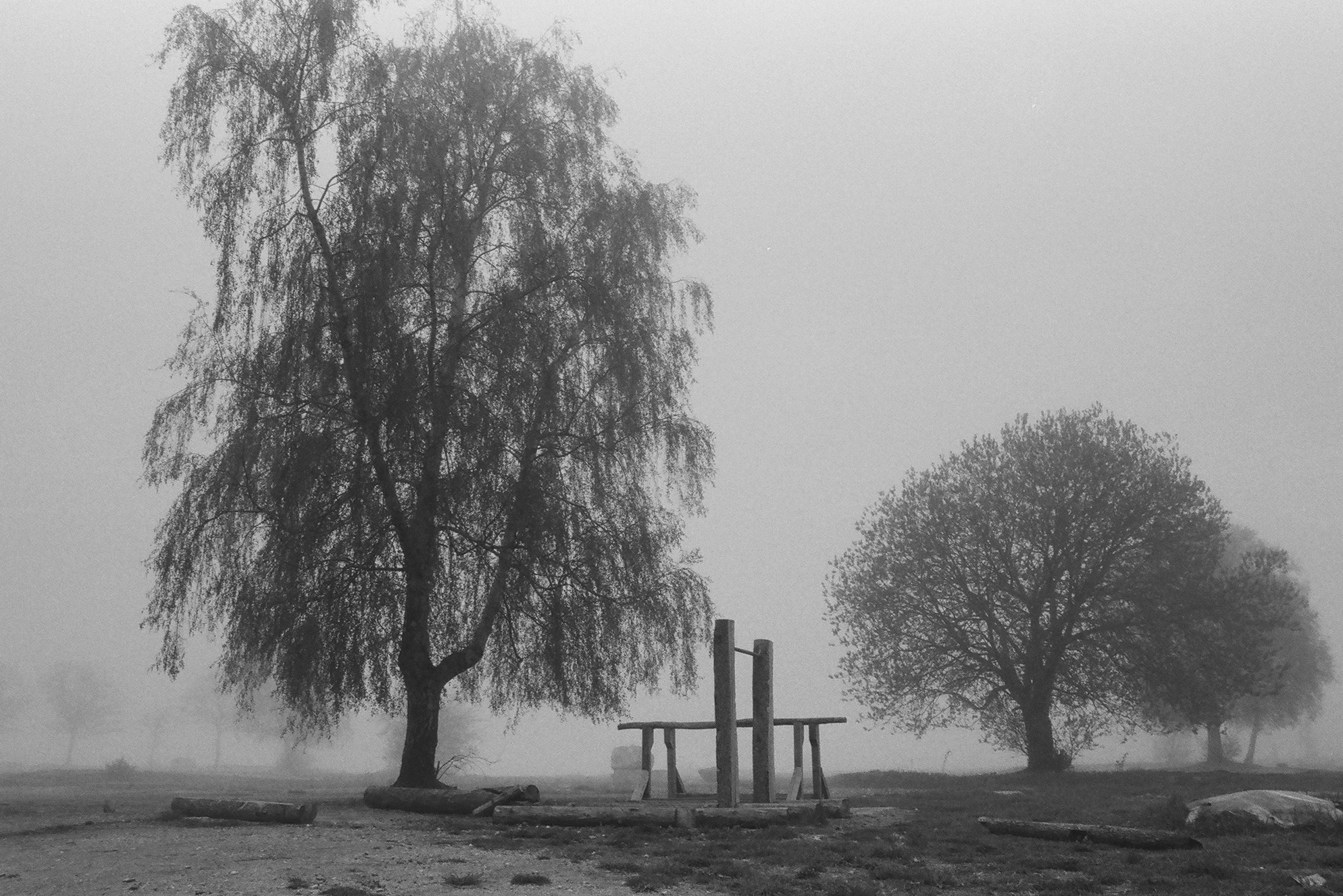 Film developing class. Polina Soyref, portrait photographer