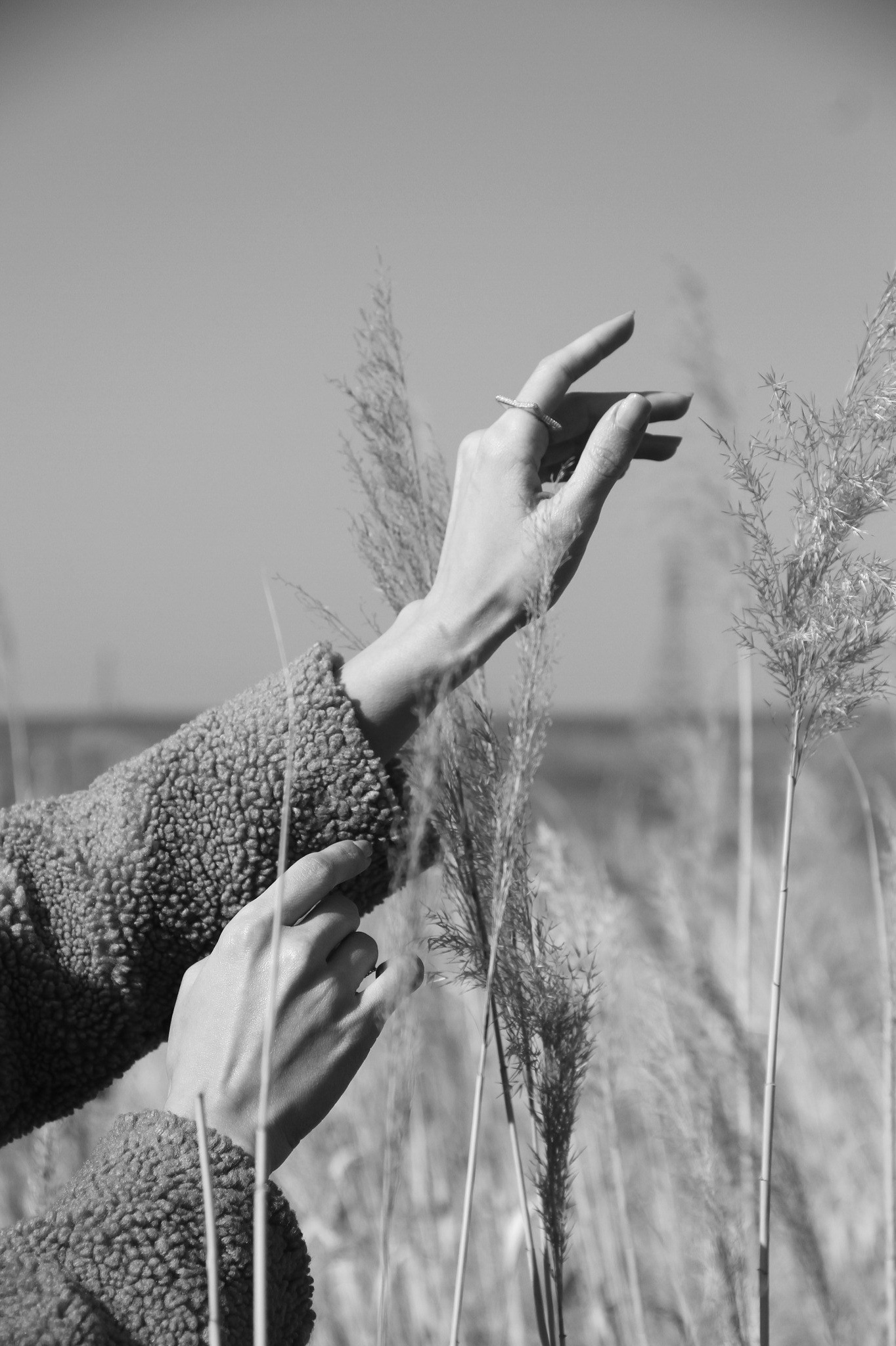 Poetry. Lucille Janinyan- Interpreter/ translator/ literature specialist