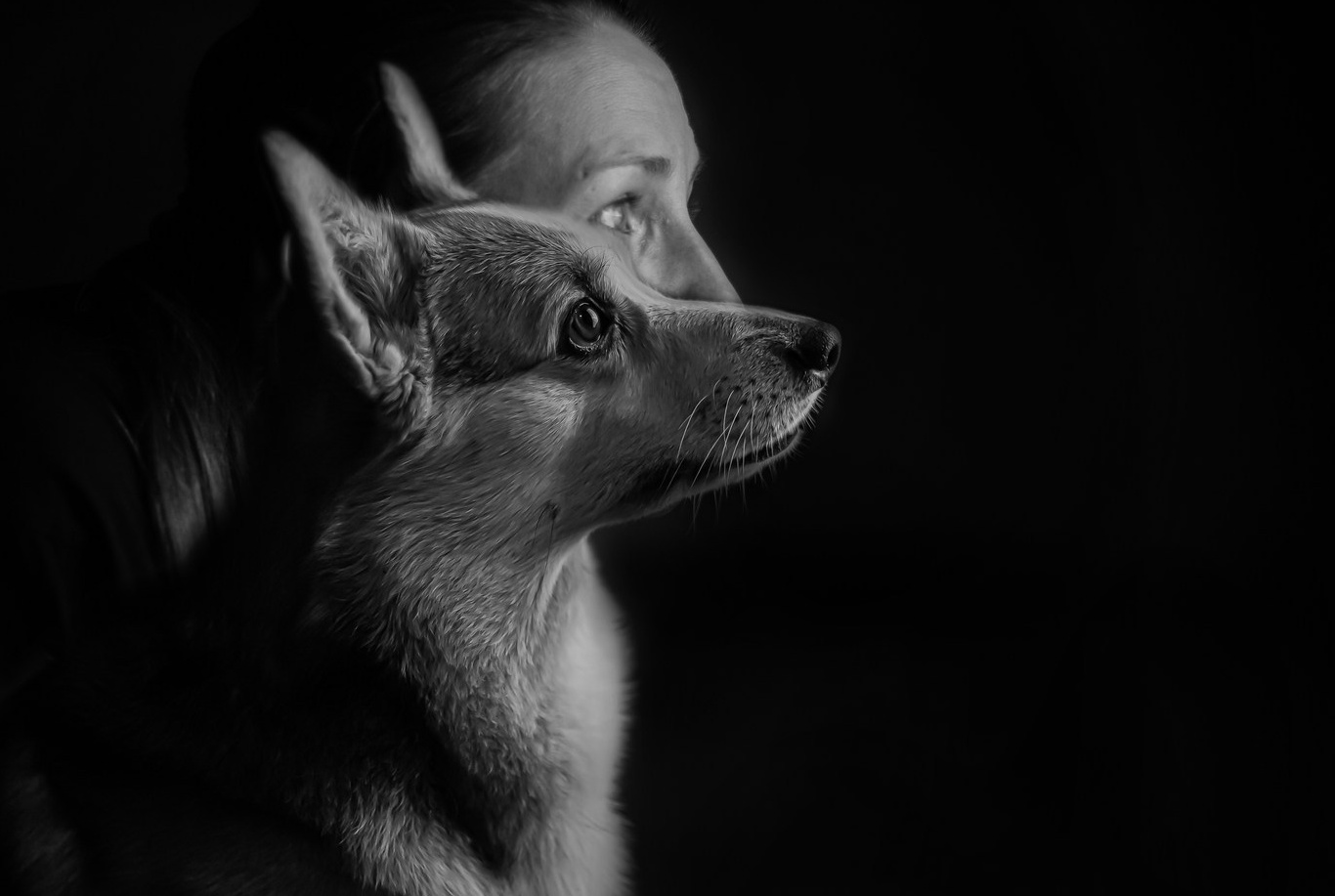 Прайс. Репортажний фотограф/анімаліст КИЇВ