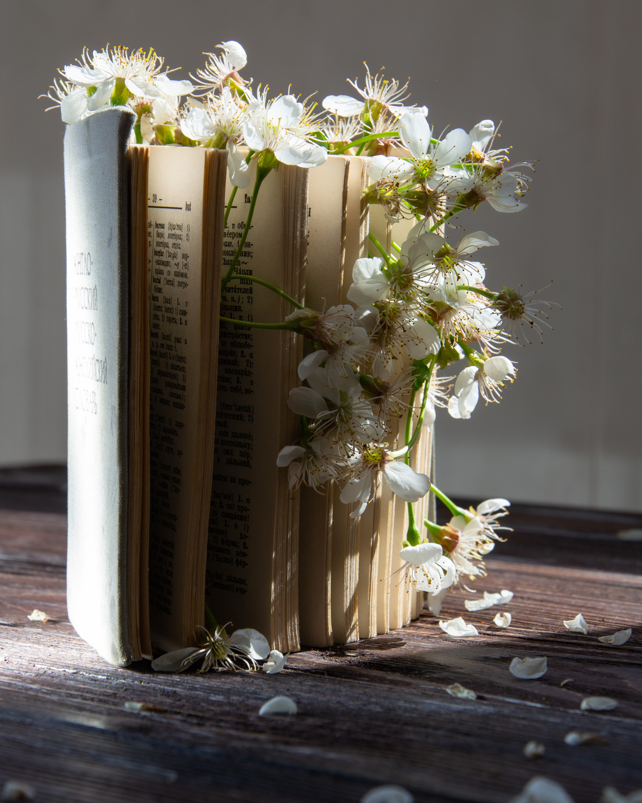 My name is Irina I am a family and portrait photographer