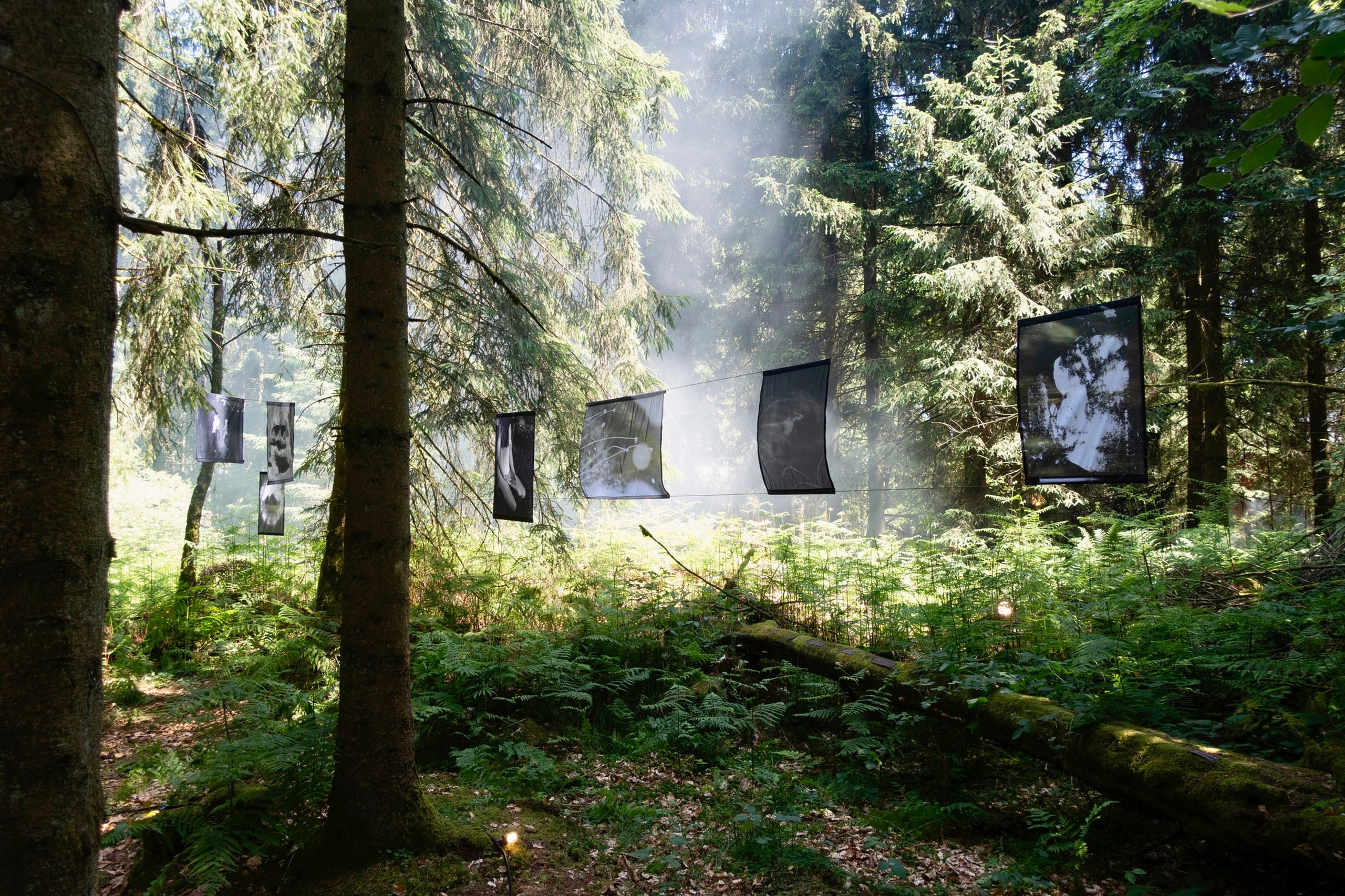Exhibitions. GLISH ART — Timofey Glinin & Anastasia Shubina