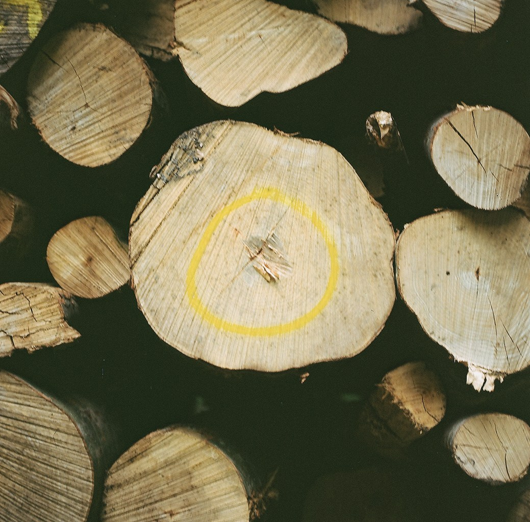 Онлайн курс проектной фотографии Karass Lab. Stanislava Novgorodtseva — Photographer | Visual Artist | Educator