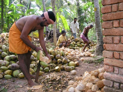 Some interesting trivia about Renowned Film maker Balachandra Menon. Balachandra Menon