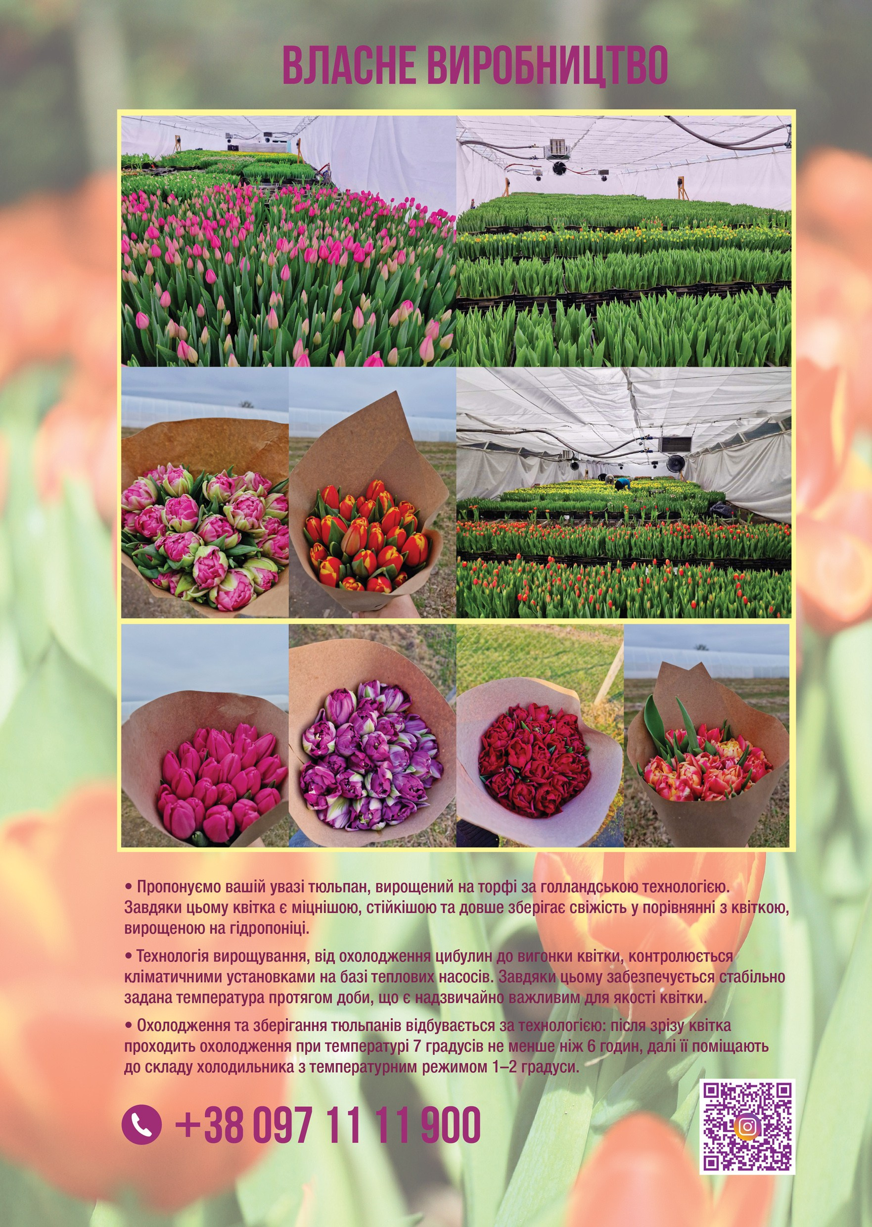 Прайс. Greenhousekorosten