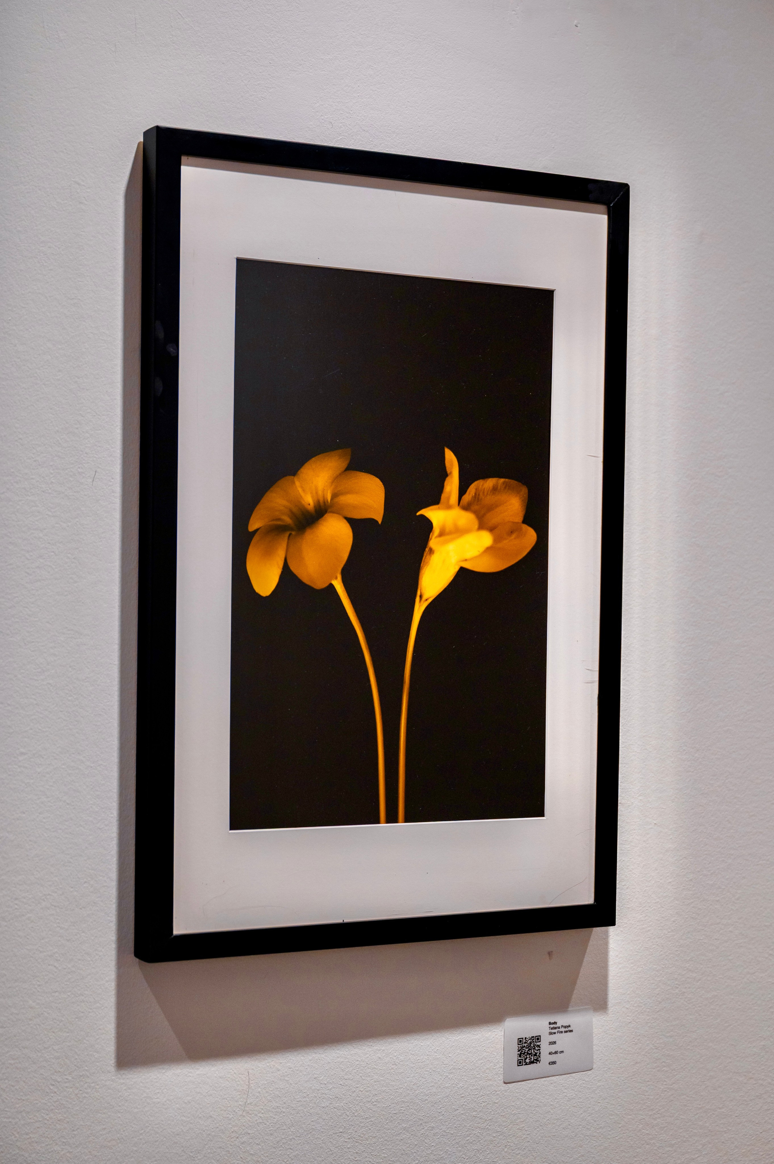 Collect Artworks. Photographer in Luxembourg Tanita