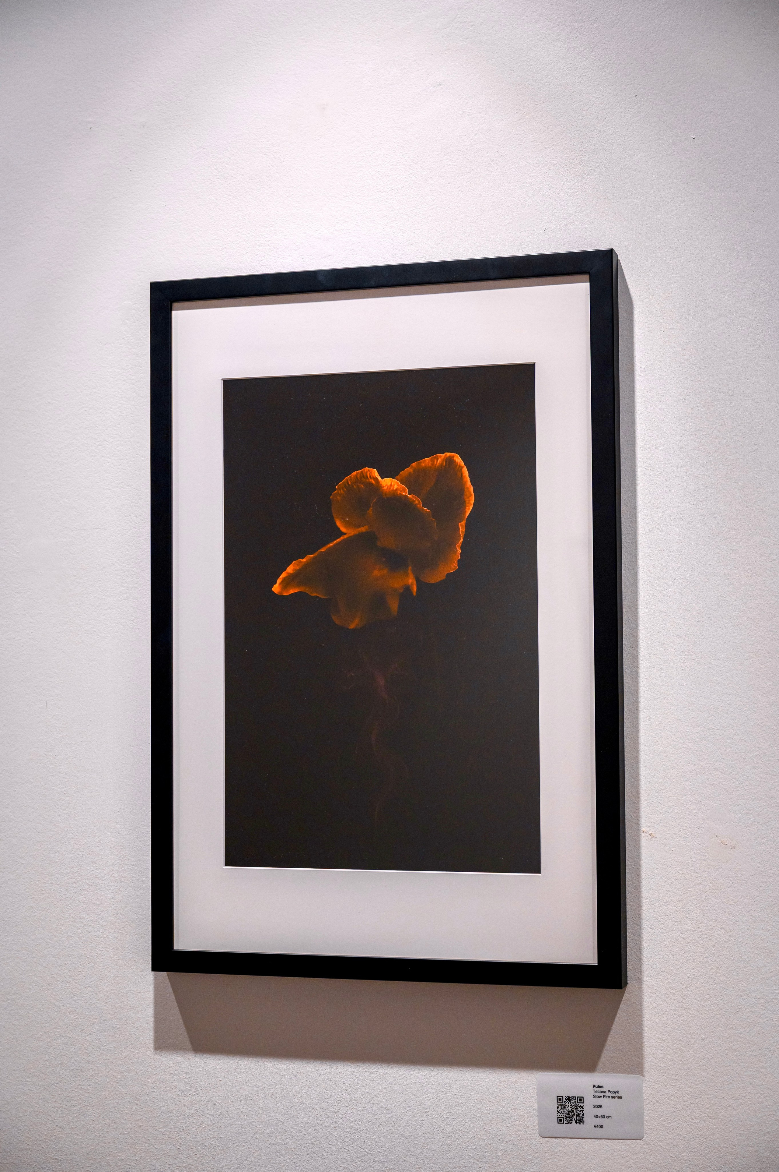 Collect Artworks. Photographer in Luxembourg Tanita