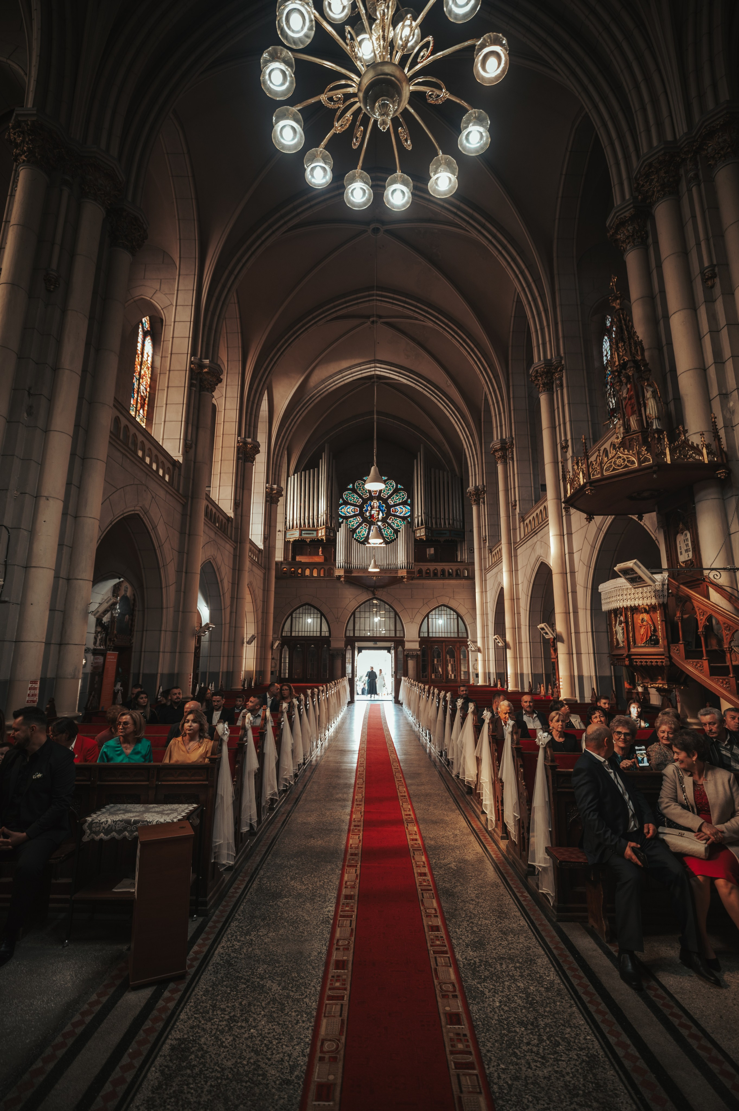 Contact. Alexandru Tomici Photography