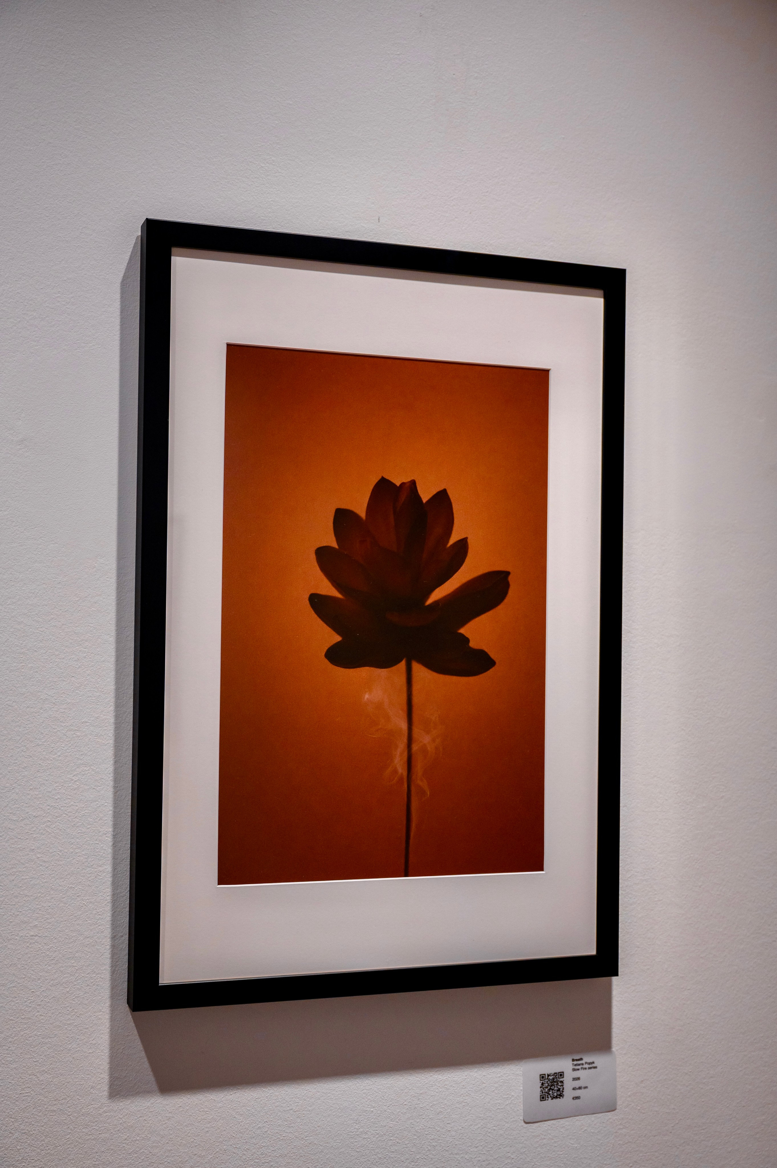 Collect Artworks. Photographer in Luxembourg Tanita