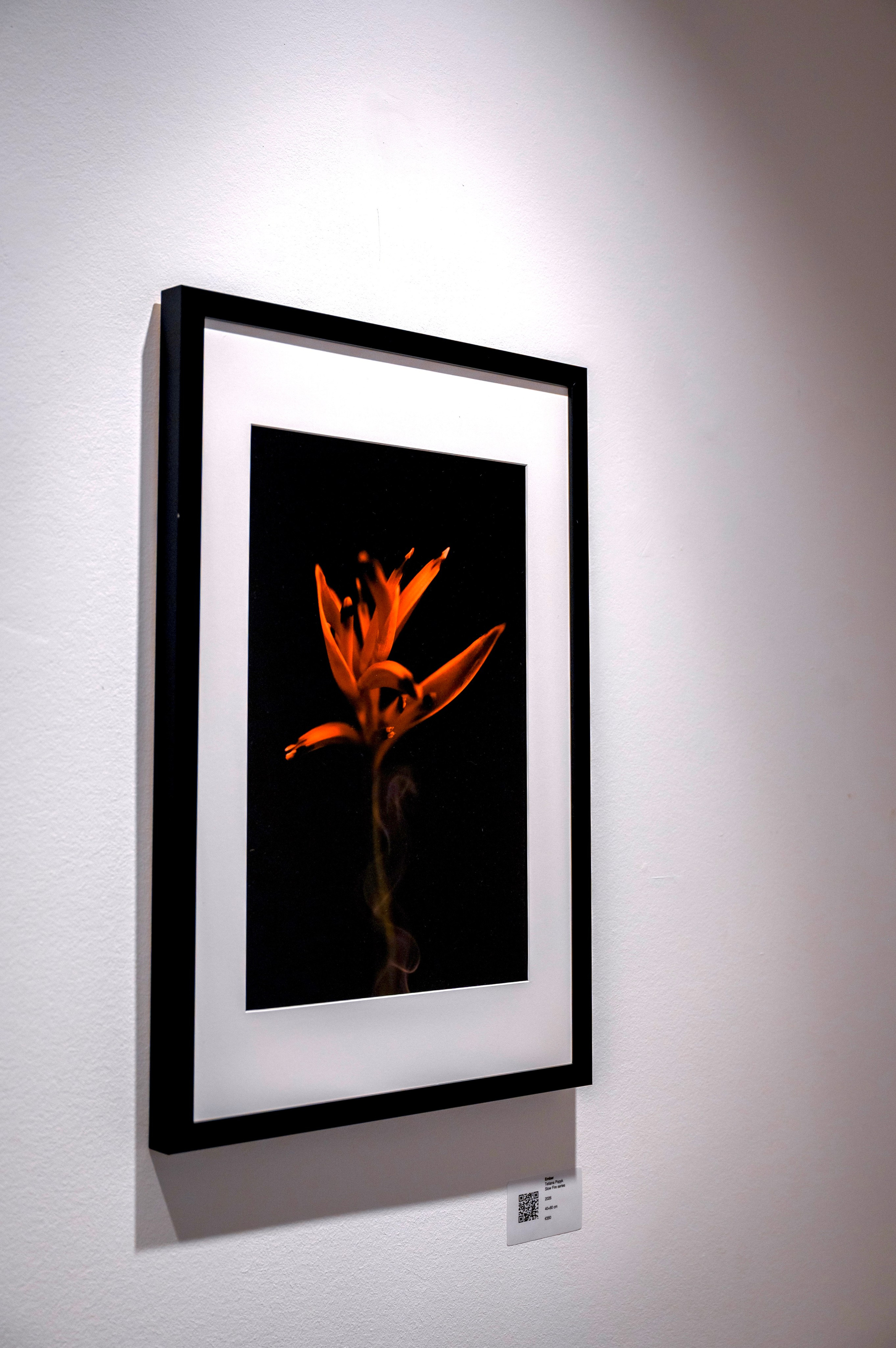 Collect Artworks. Photographer in Luxembourg Tanita