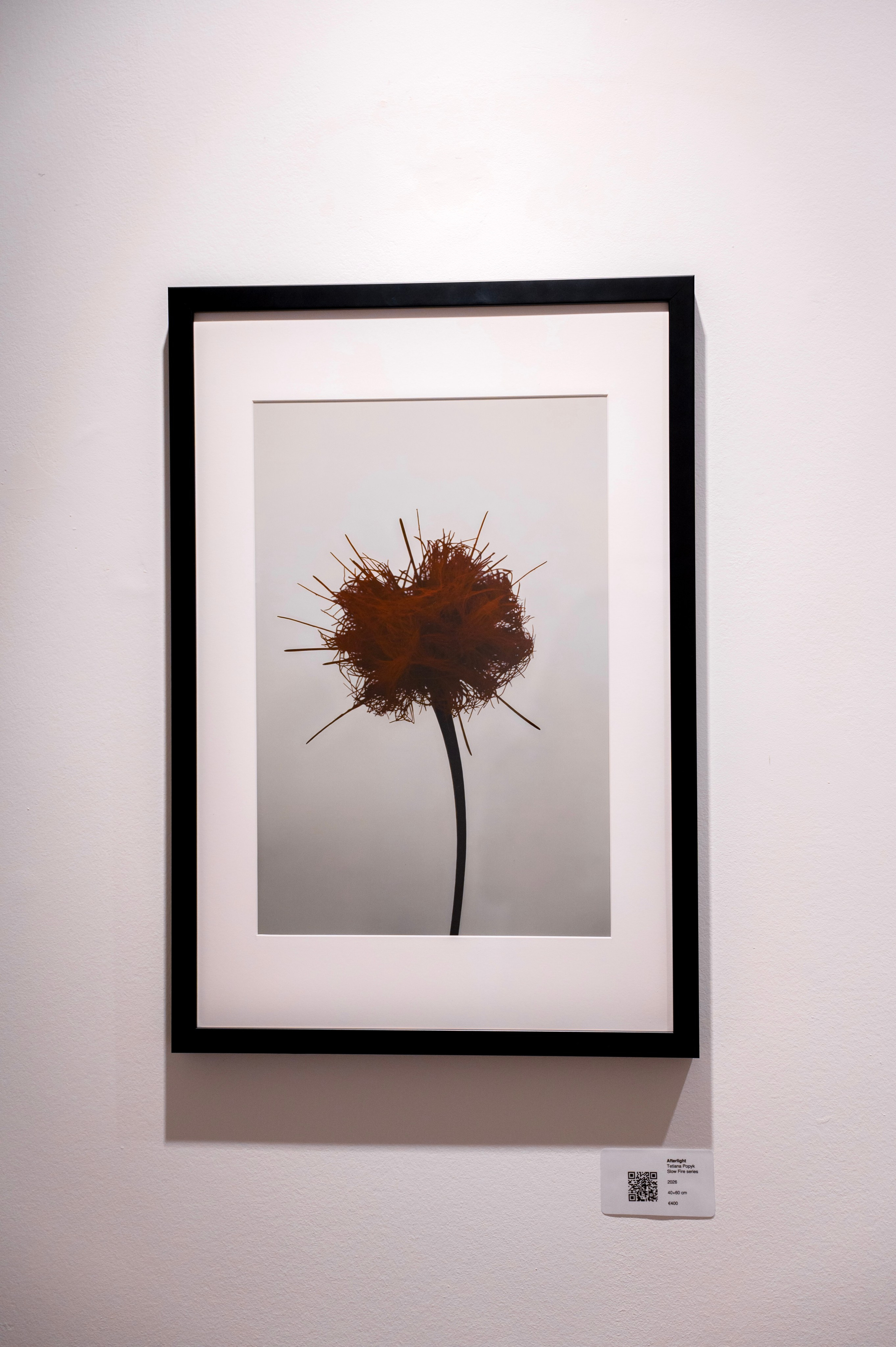 Collect Artworks. Photographer in Luxembourg Tanita