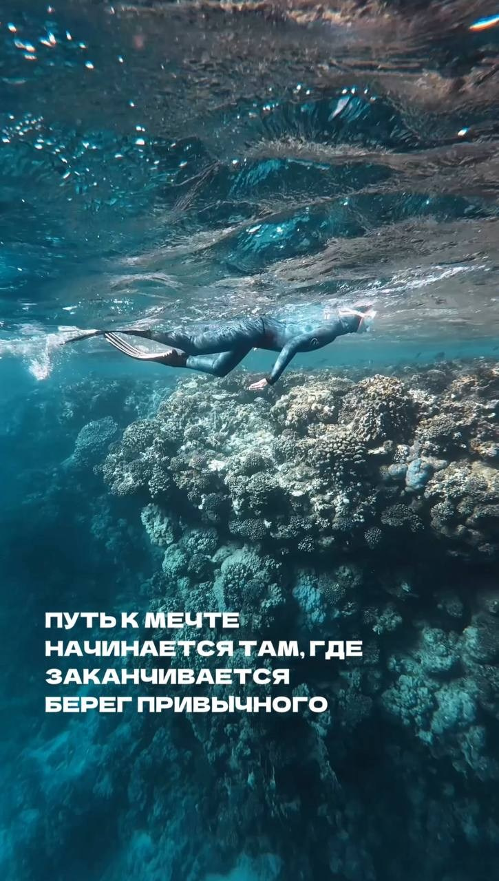 NEW Путешествие к дельфинам, октябрь 2026. Семейные лагеря в Европе с Ниной Янечковой и Ириной Зиновьевой